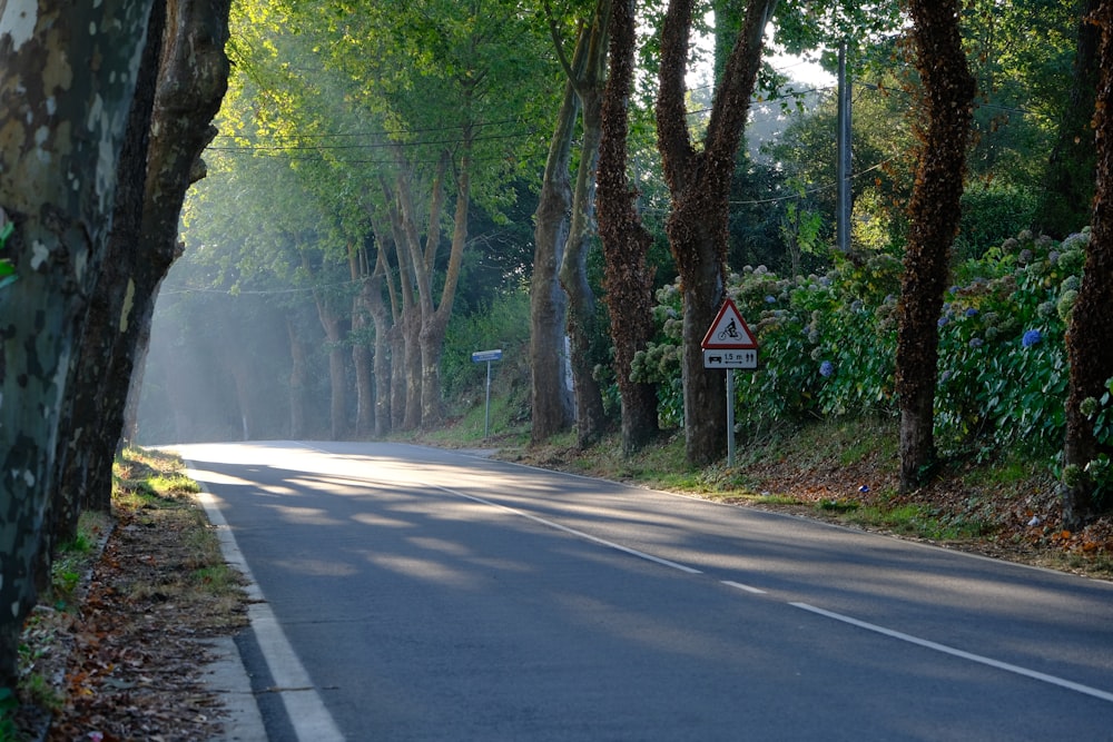 a street lined with trees next to a forest