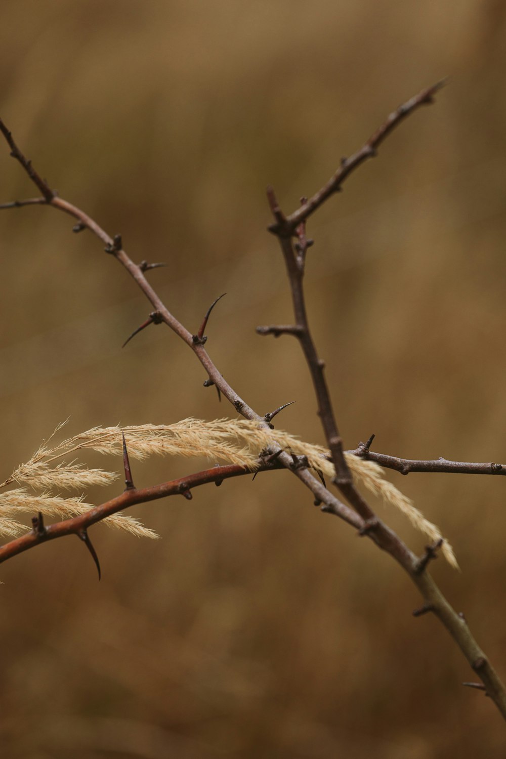 una rama de un árbol con un pájaro encaramado encima de él