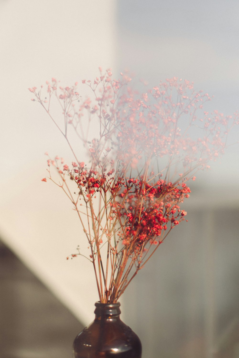 a brown vase with some red flowers in it