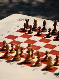 a chess board with pieces of chess on it