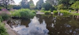 A tranquil park scene with people reading and reflecting.
