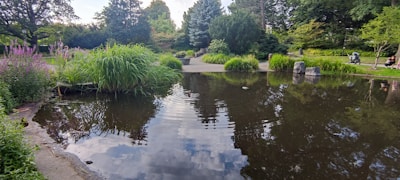 A tranquil park scene with people reading and reflecting.