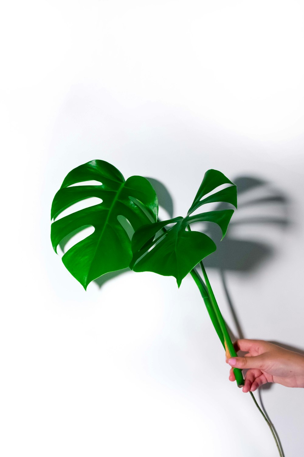 a person holding a fake green plant in their hand