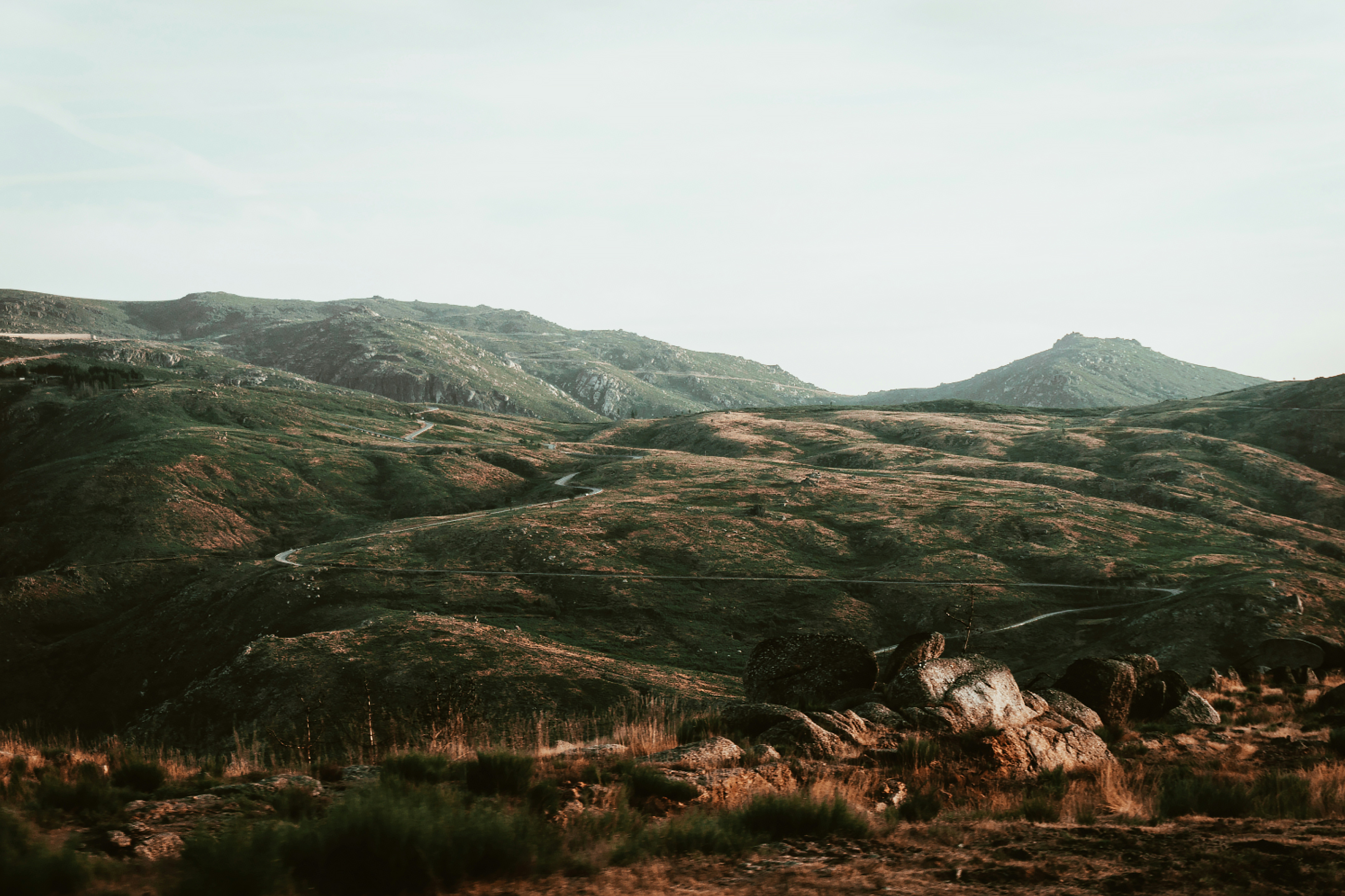 Photo by joaoopinheiro_