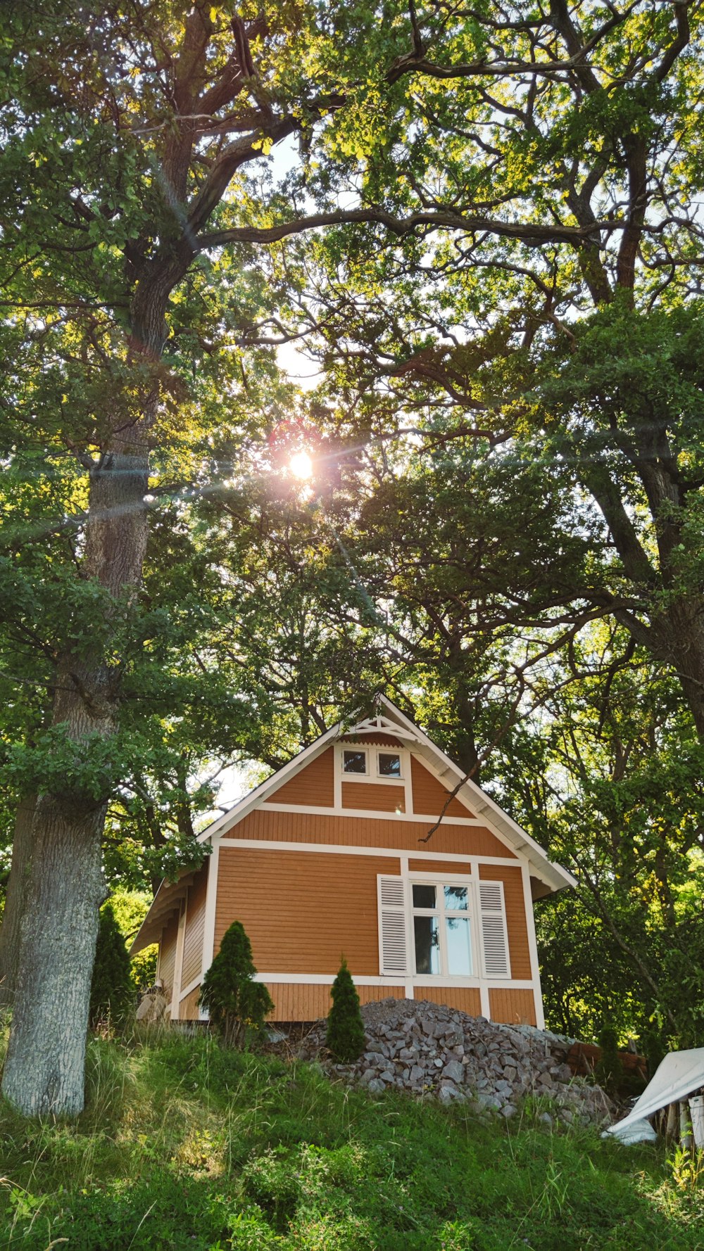 a tree in front of a house