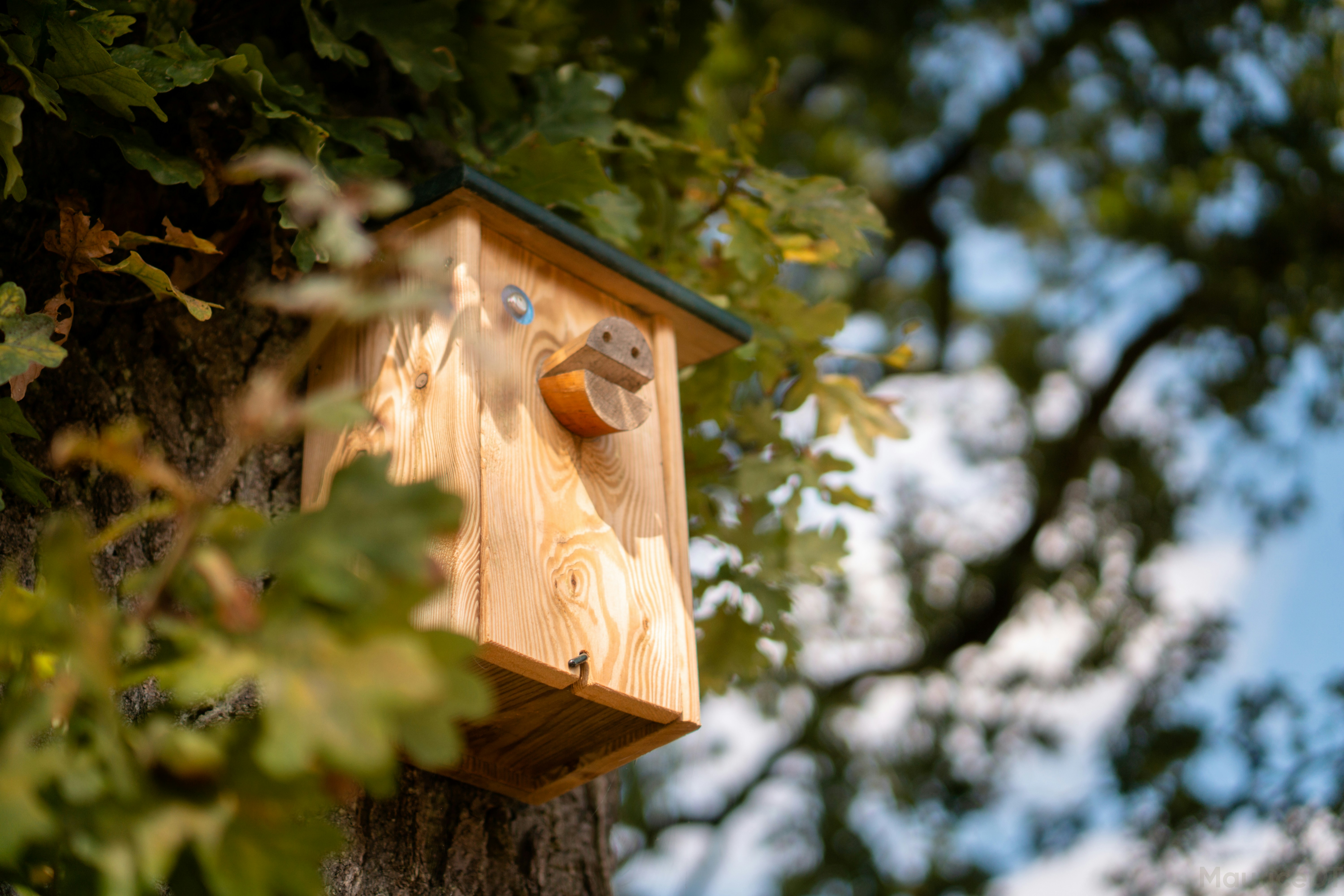 Photo by mauricemaaktfotos