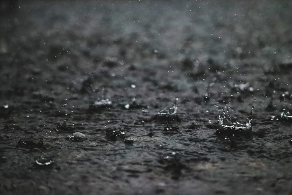 Une photo en noir et blanc de la pluie tombant sur le sol