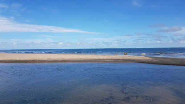 What to See in Gambia: A Complete Travel Guide