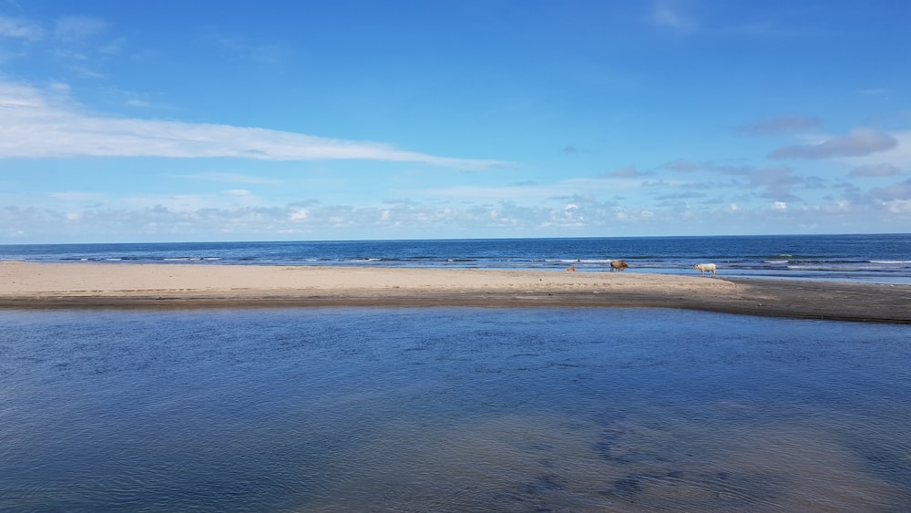 um corpo de água sentado ao lado de uma praia de areia