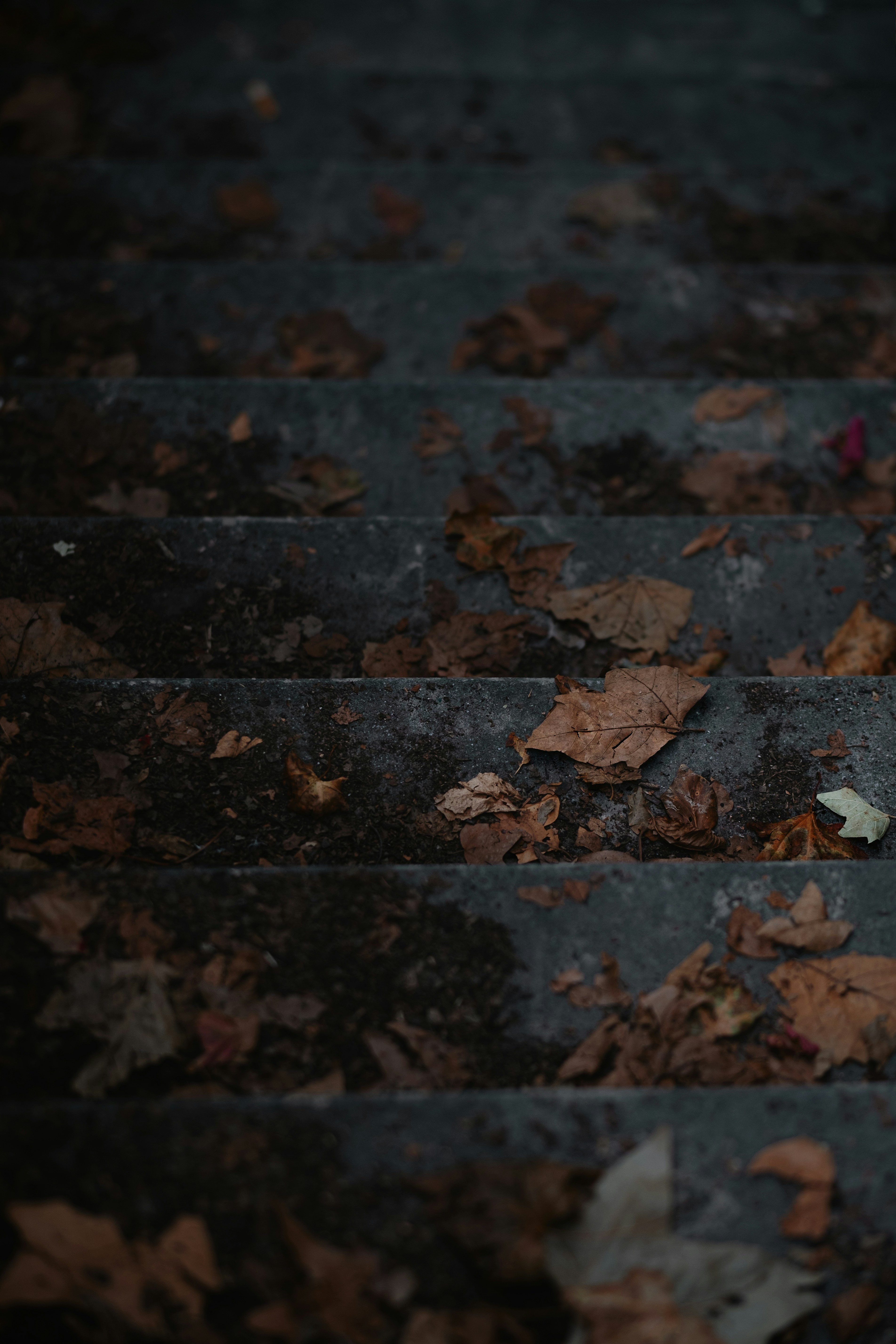 a red fire hydrant sitting on top of a set of steps