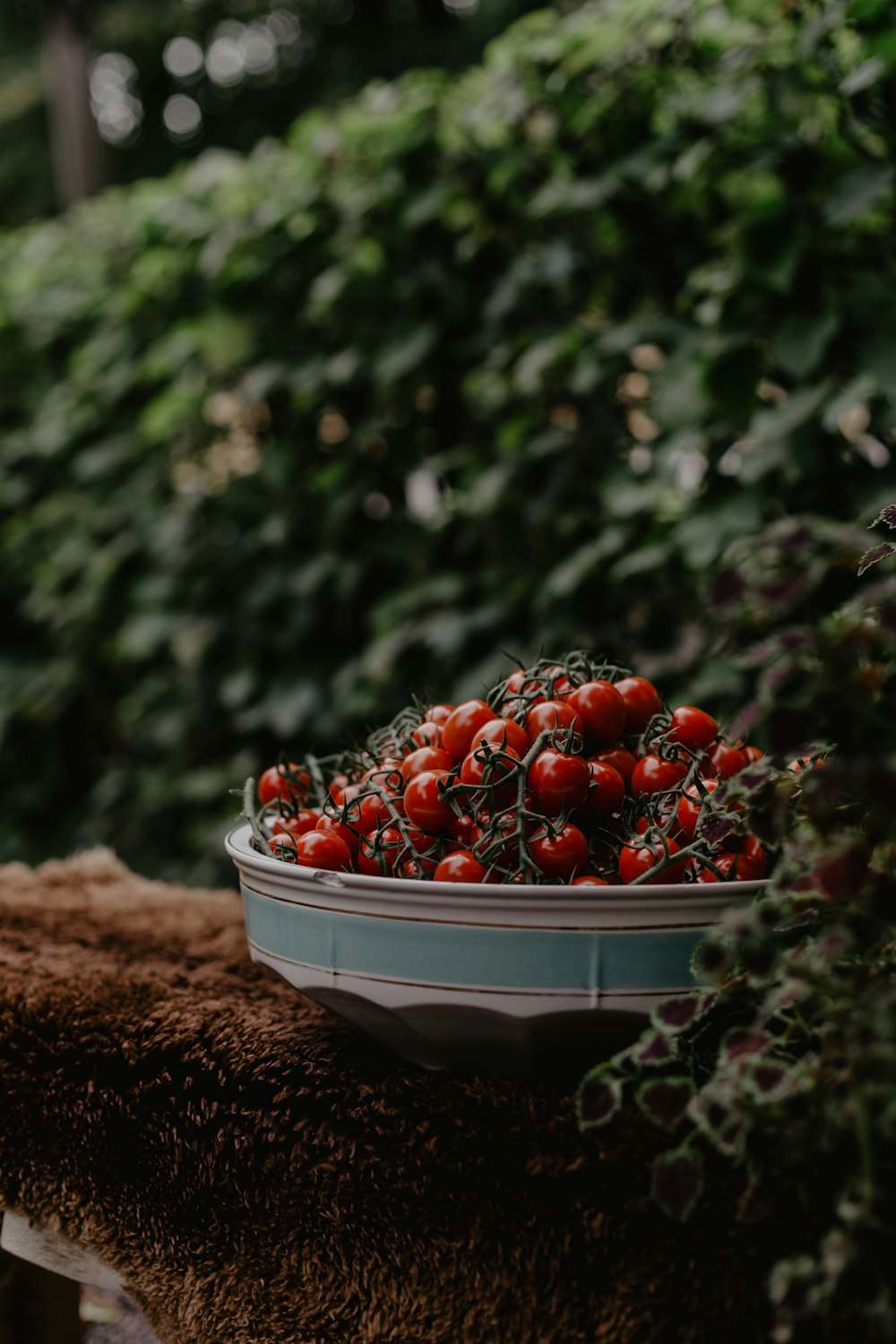 a bowl of tomatoes sitting on top of a table