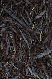 A collection of overlapping pieces of bark, with various shades of brown and gray. The texture is rough and natural, resembling a typical organic mulch used in gardening.