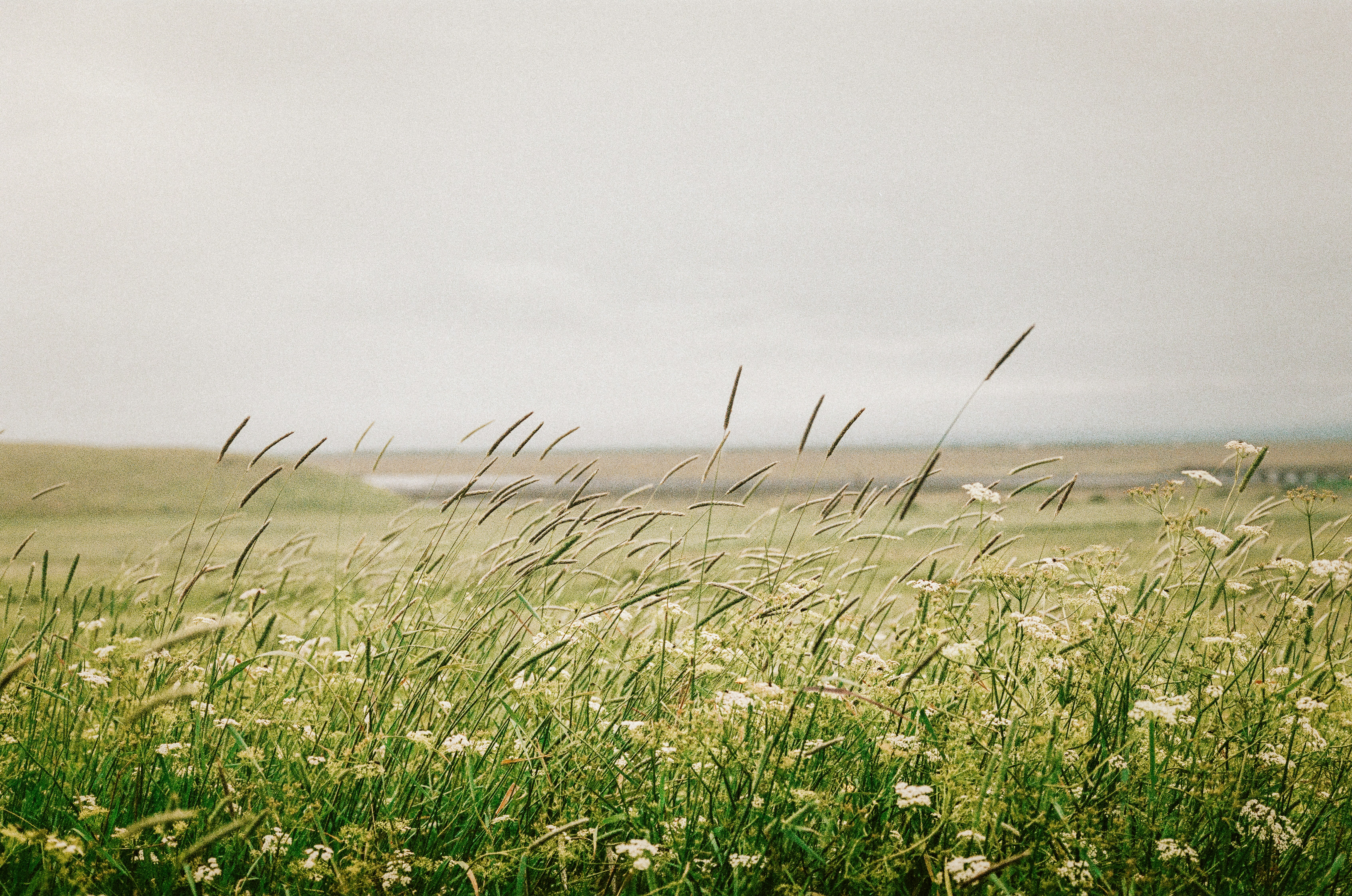 Photo by joanacabreu