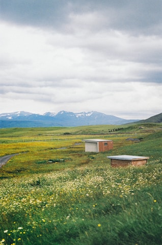 a grassy field with a few buildings in the distance