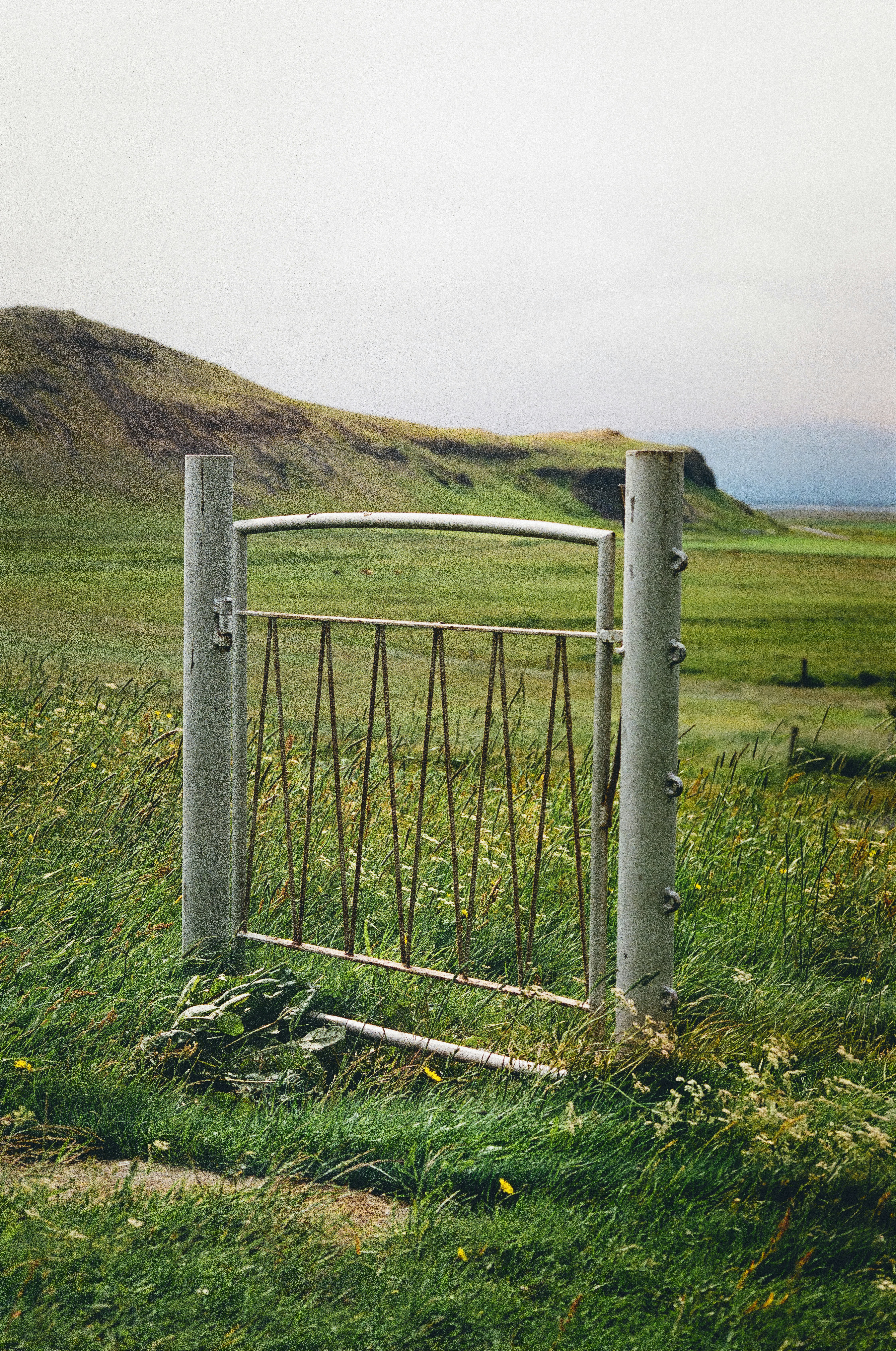a gate in the middle of a grassy field