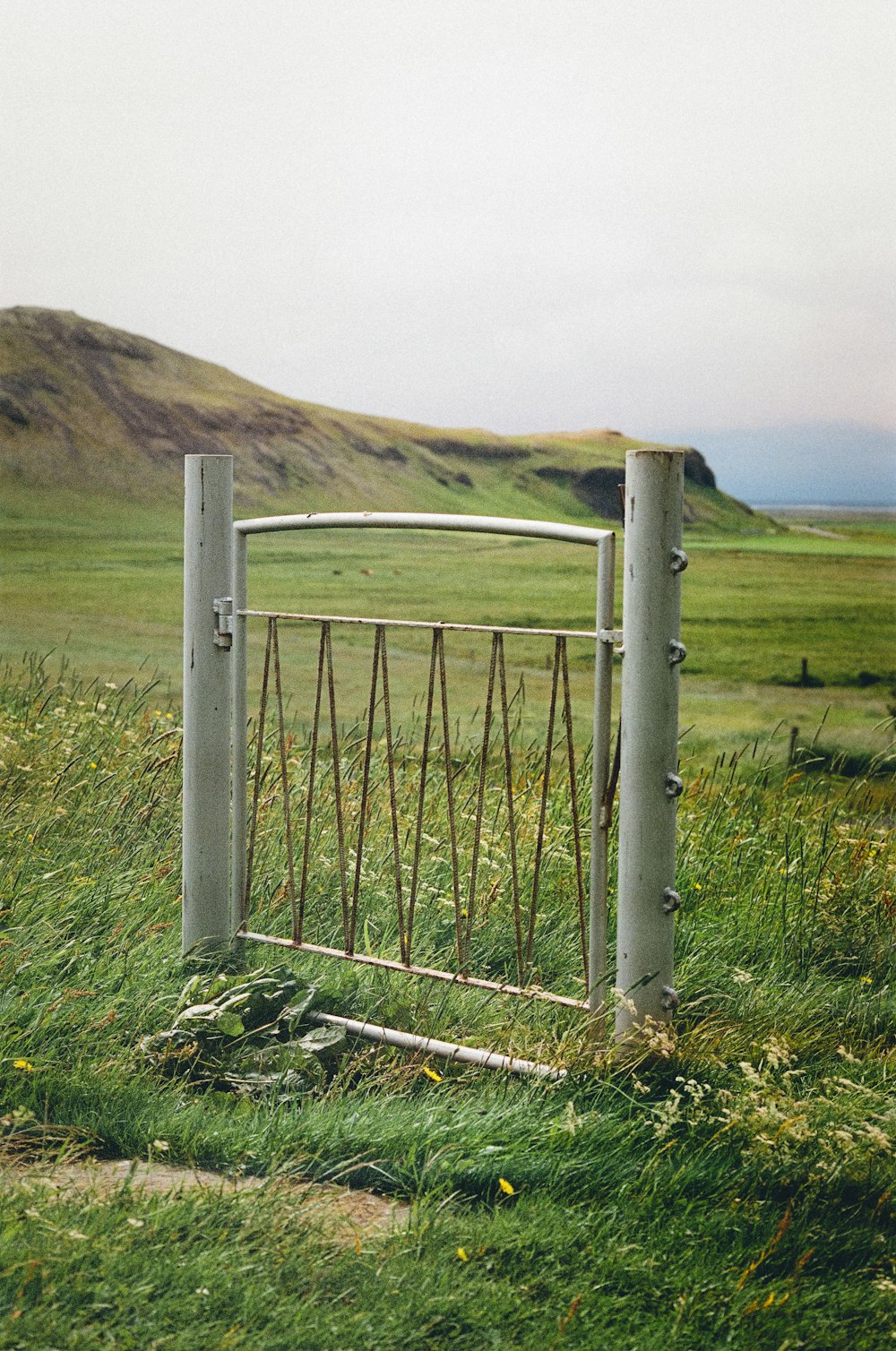 a gate in the middle of a grassy field