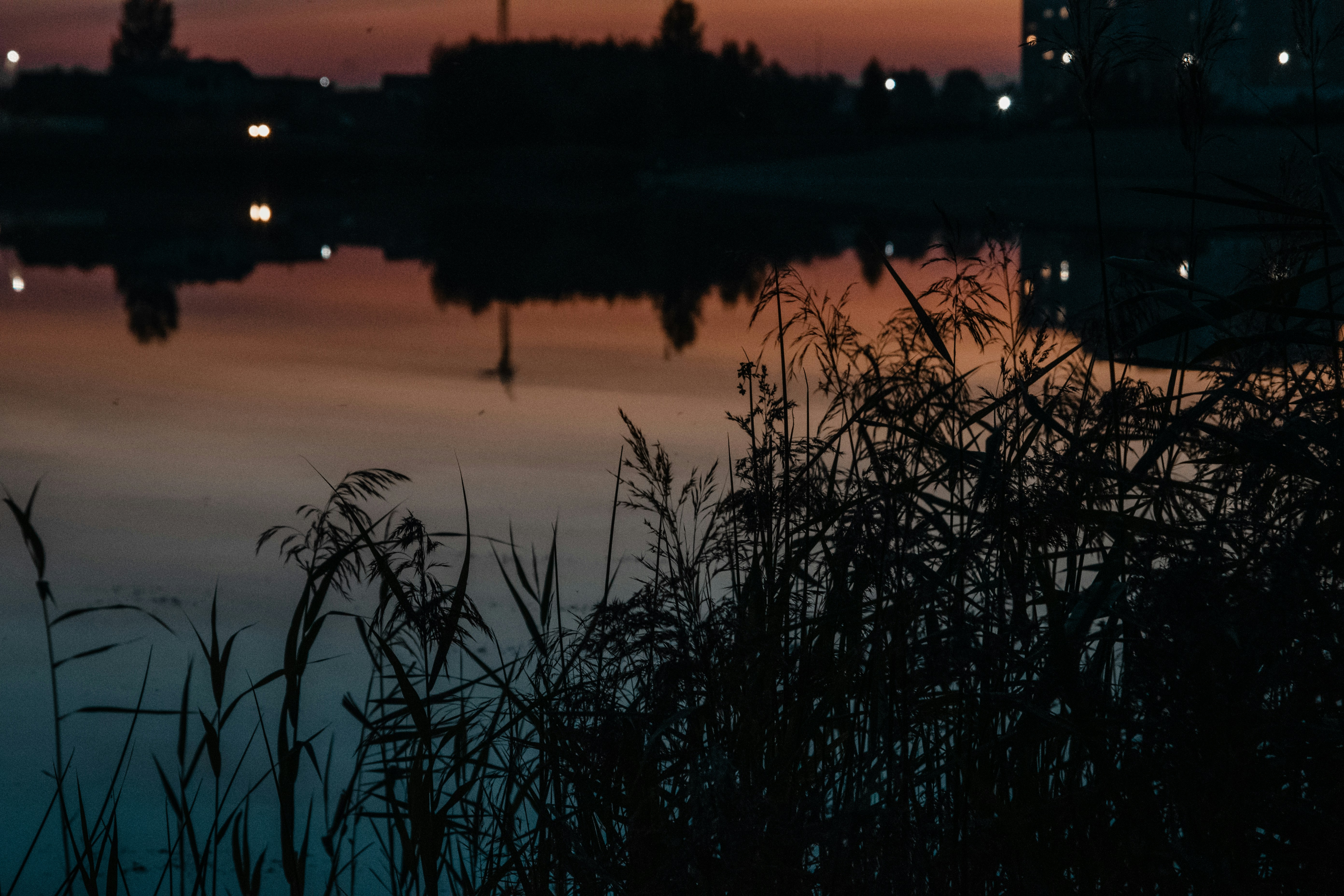 Photo by snatalia1516