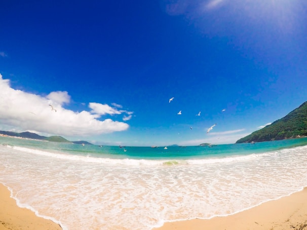 A scenic beach with gentle waves and a clear blue sky.