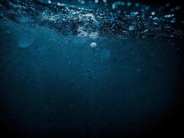 Scuba diving