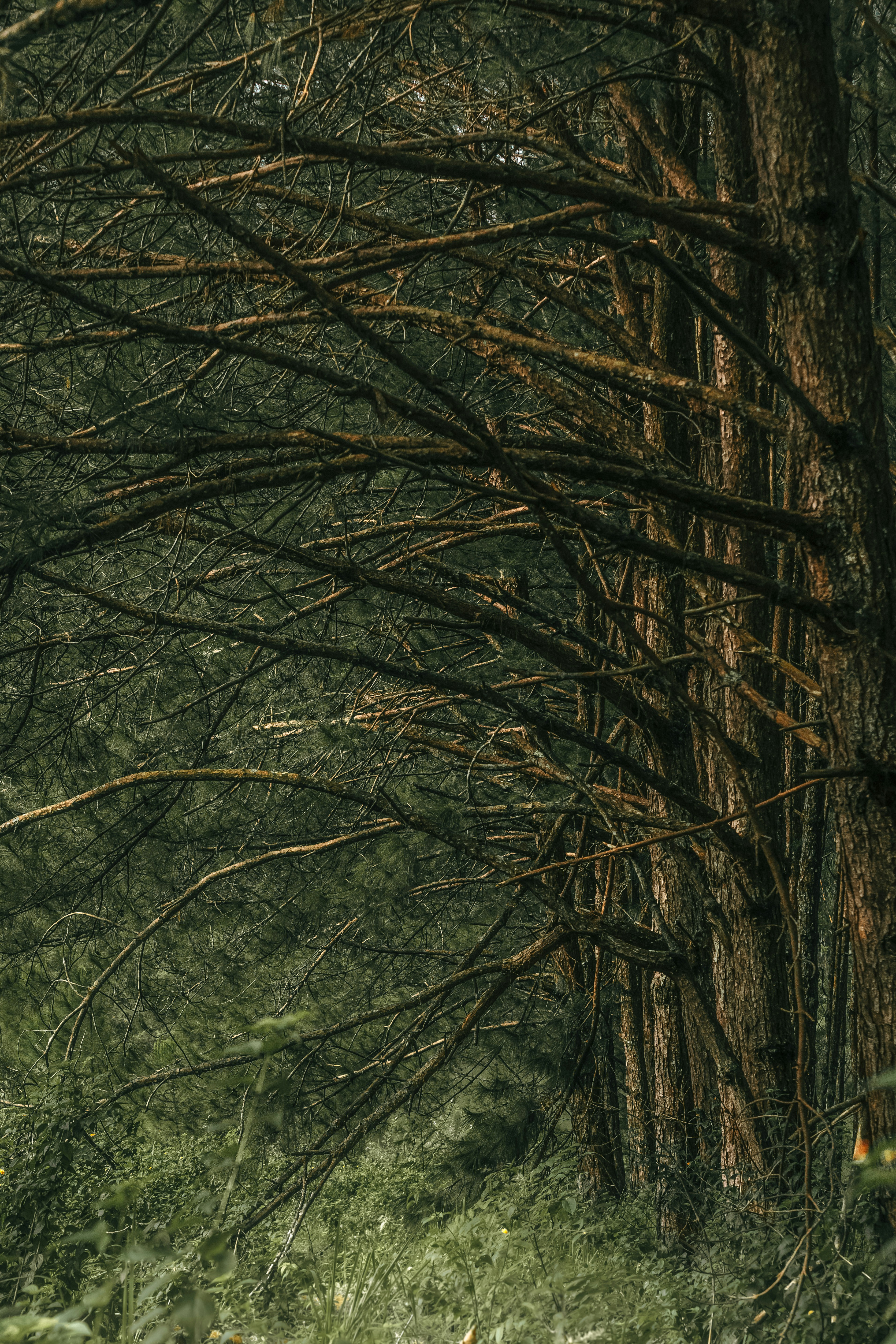 Photo by xiaowuuuuuuu