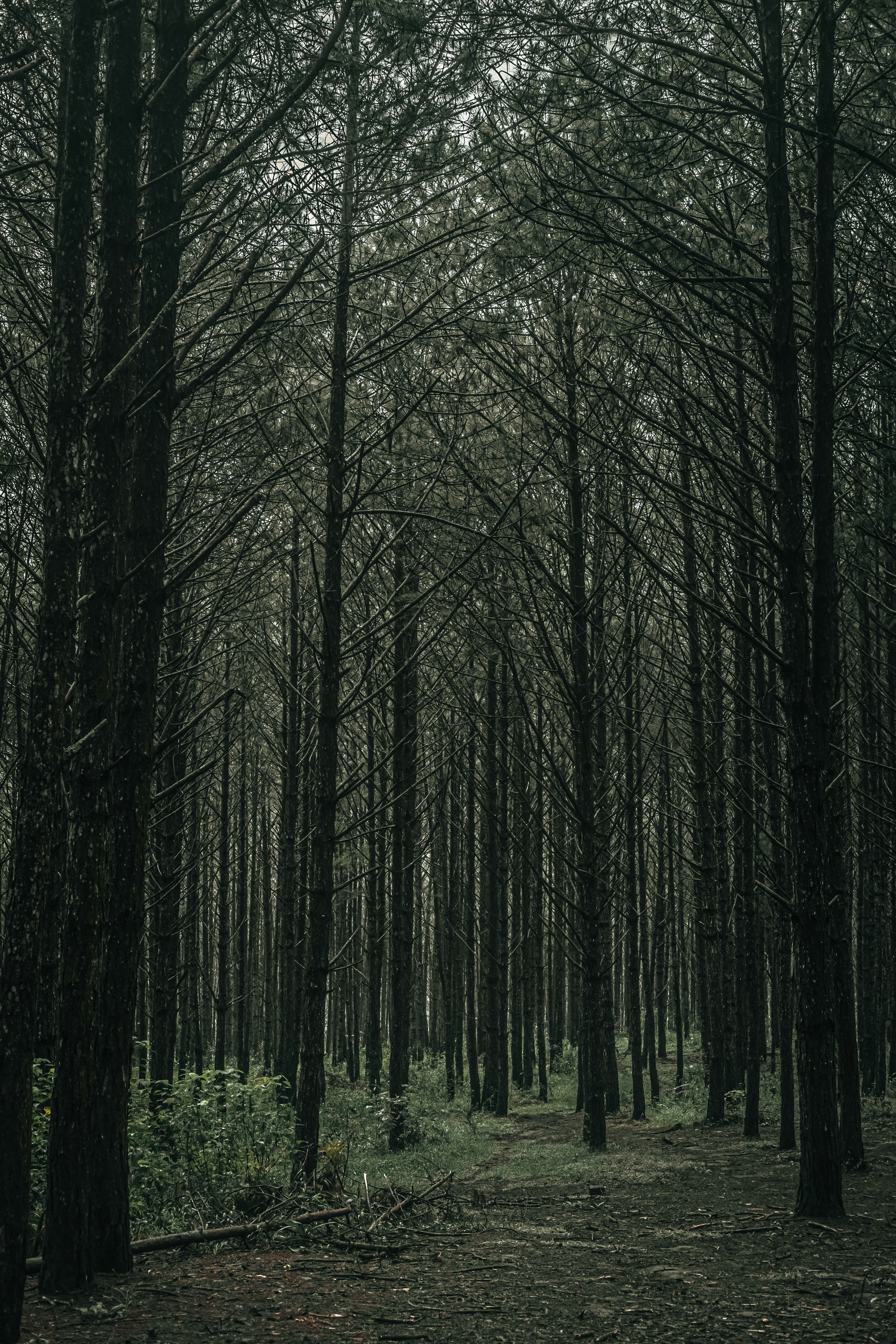 Photo by xiaowuuuuuuu