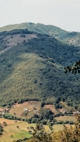 A lush, verdant hillside covered with dense forest stretches across the image, with patches of open land and a few scattered houses and farms at the base. The trees display various shades of green, and the landscape exudes a peaceful, natural setting.