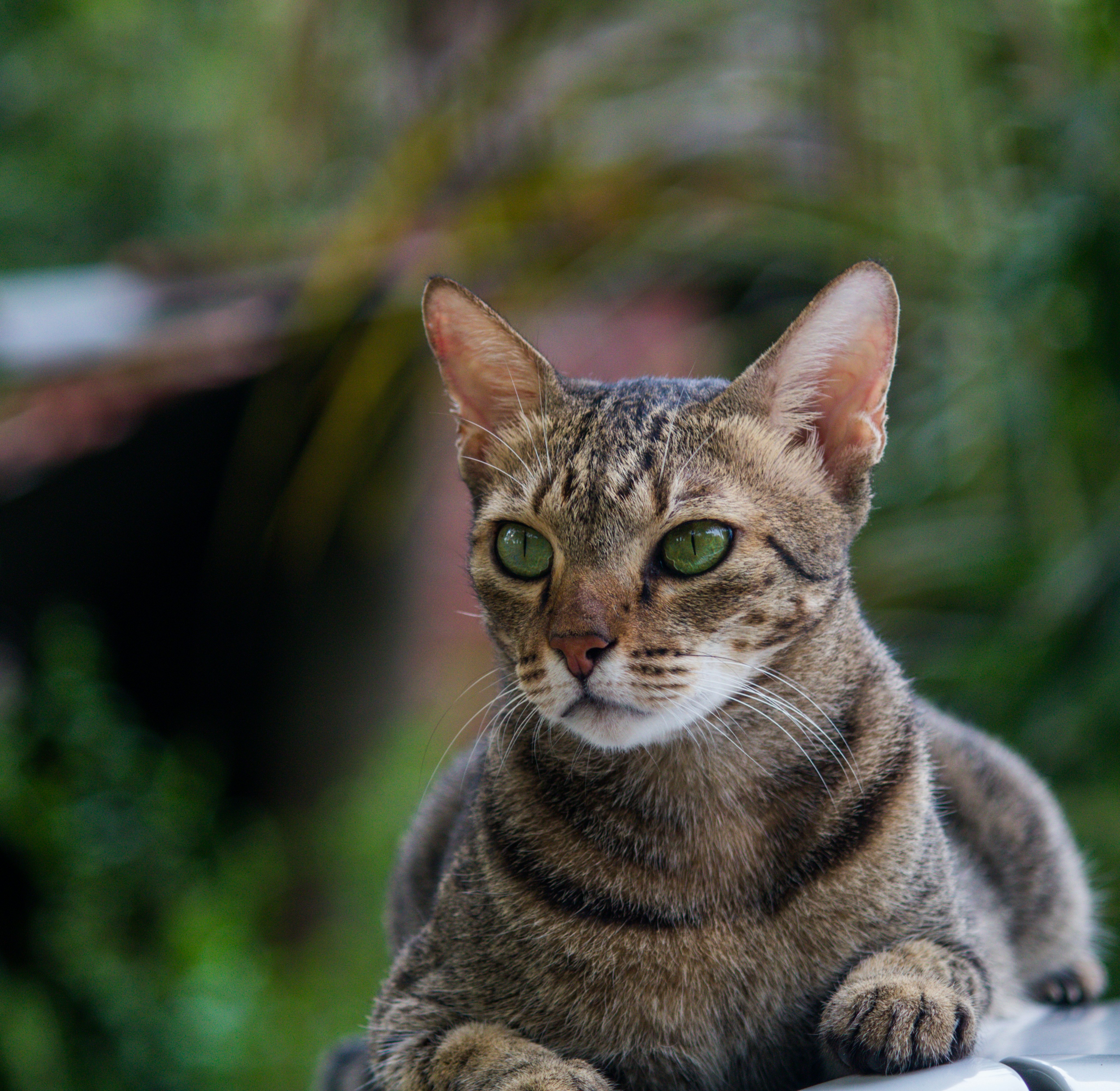 Photo by advait_parikh0309