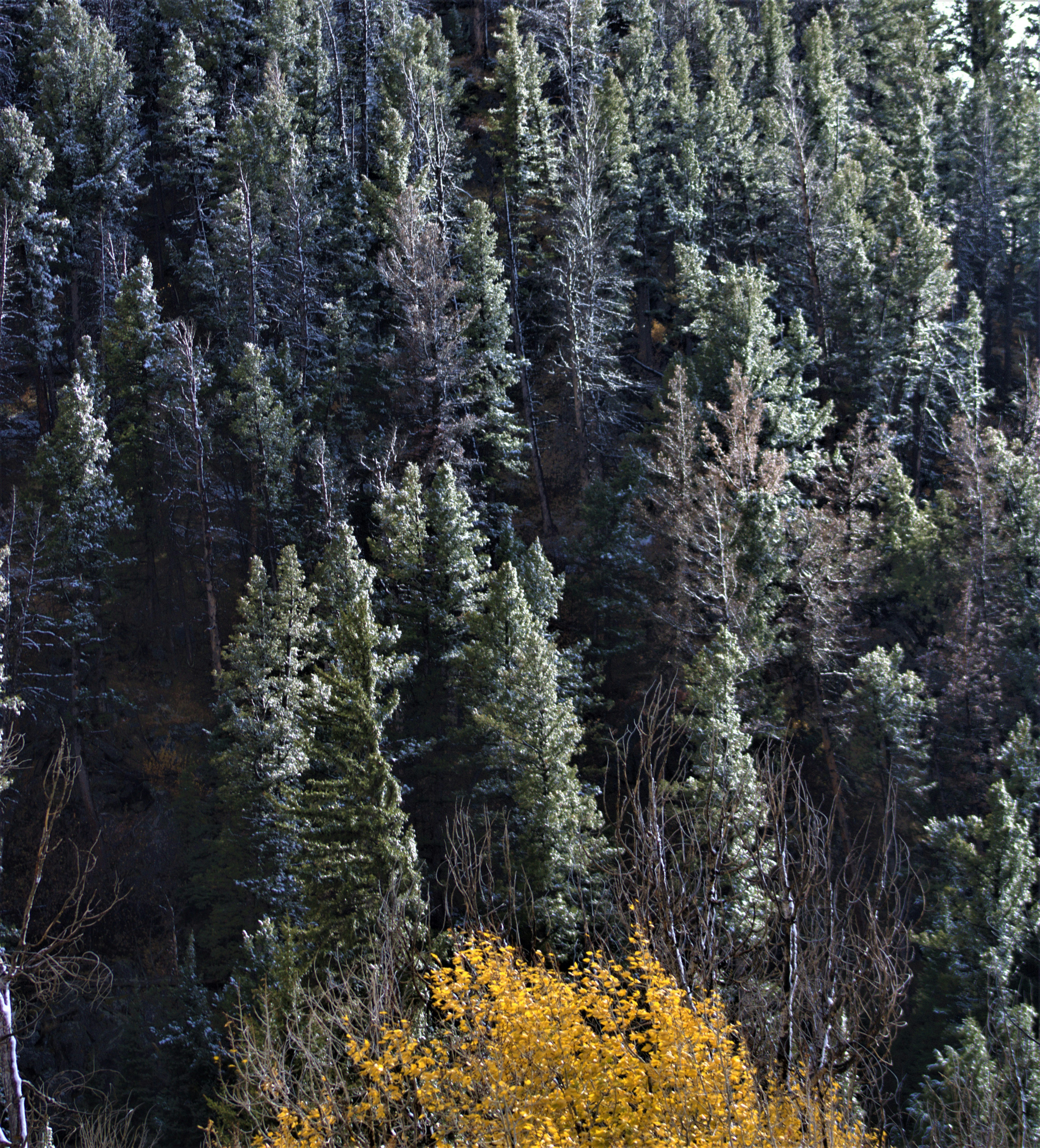 Photo by chipmunkrapidsmadman