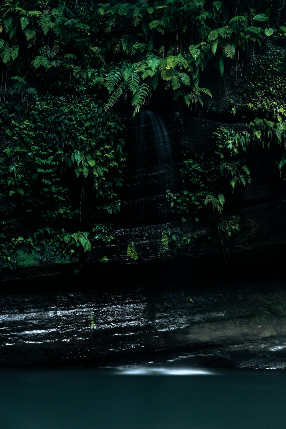 a waterfall in the middle of a lush green forest