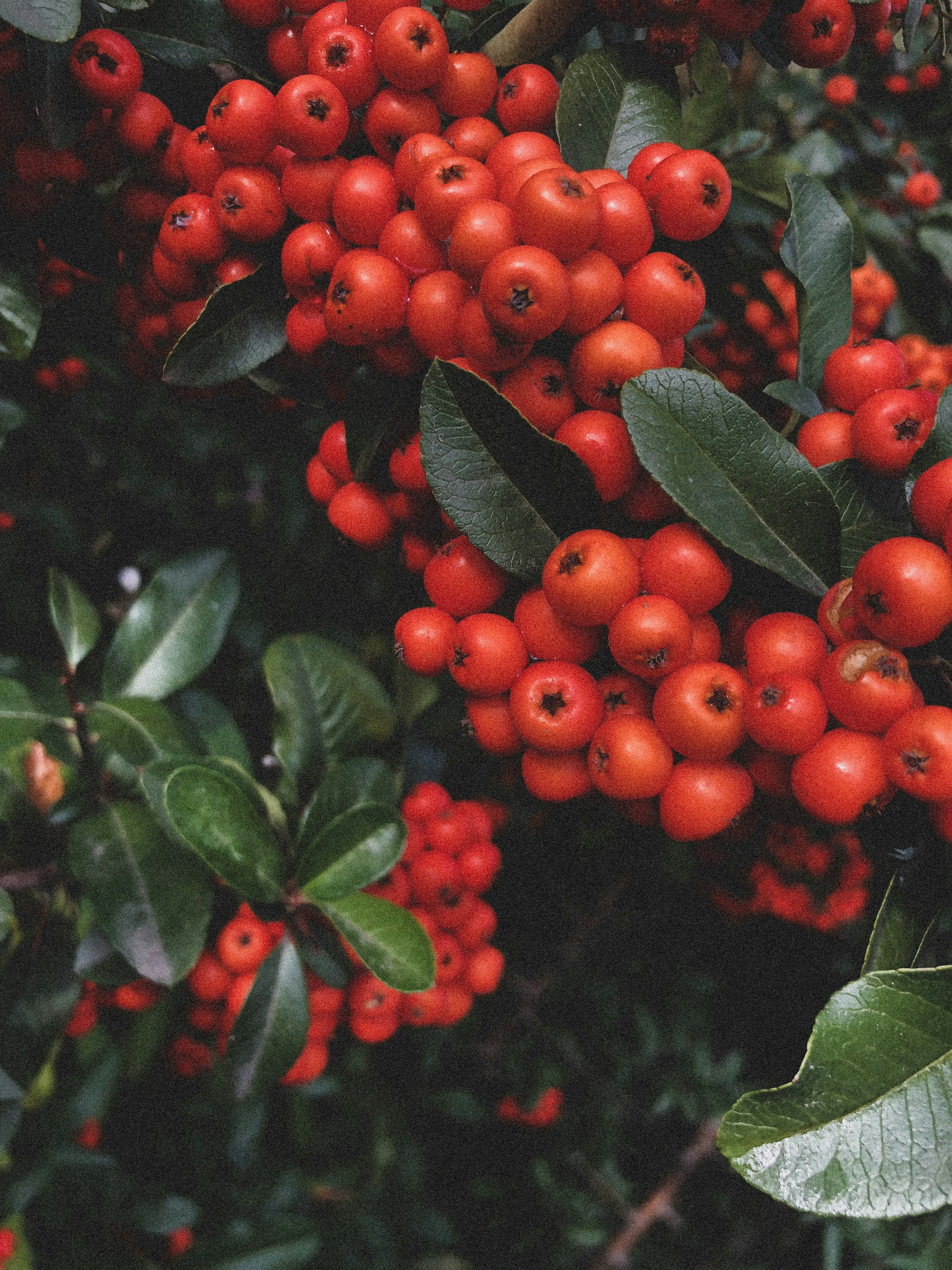 Photo by irensavinkova