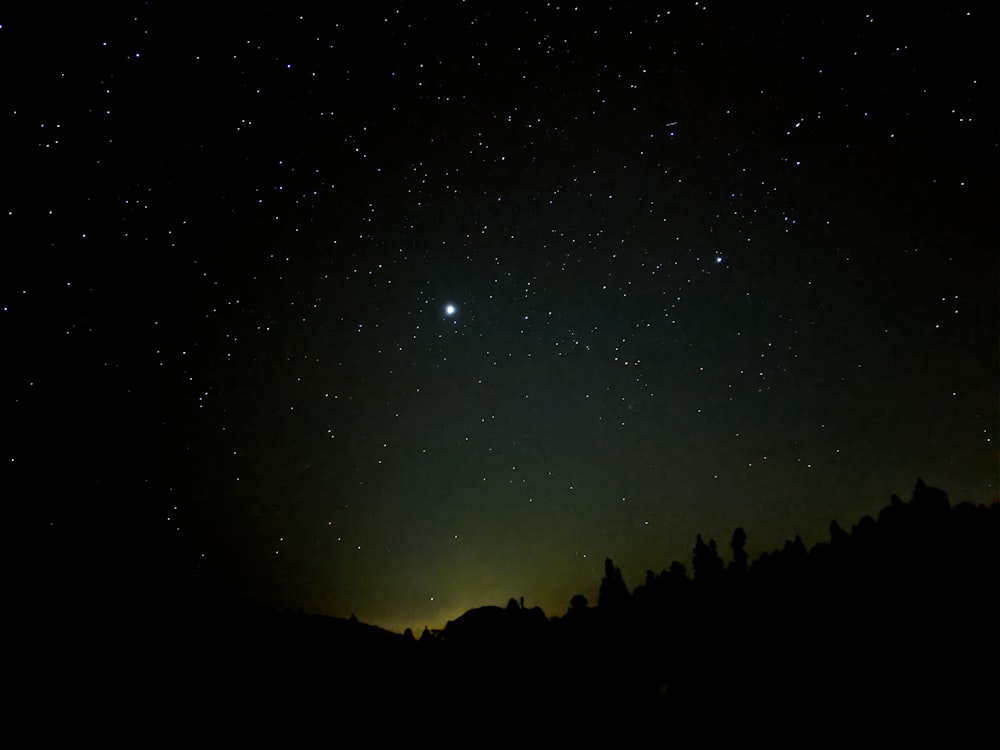 the night sky with stars and trees in the foreground