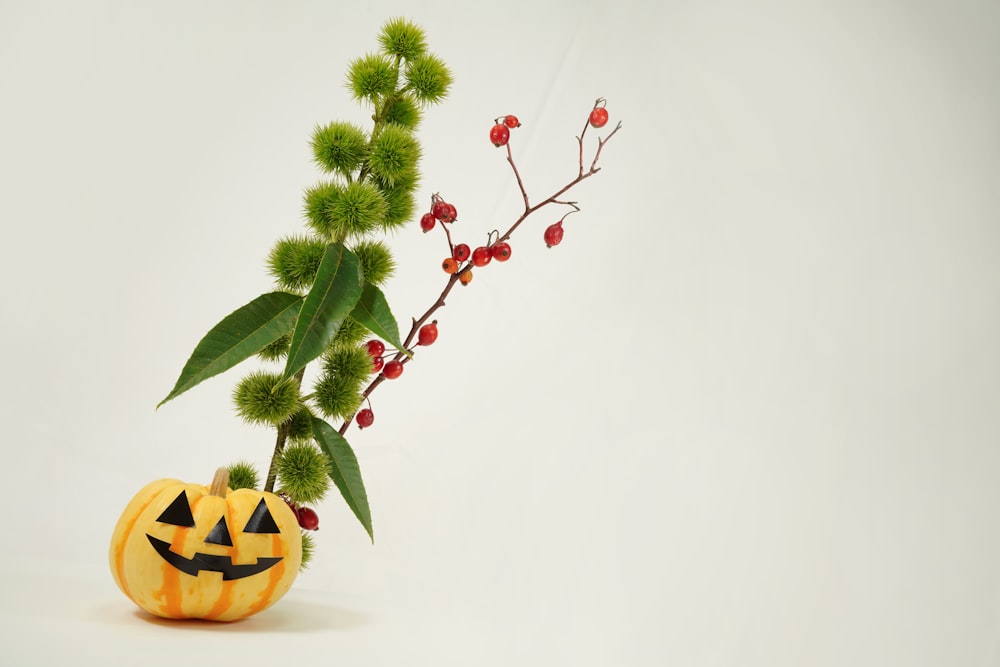 a plant with a jack - o - lantern face on it