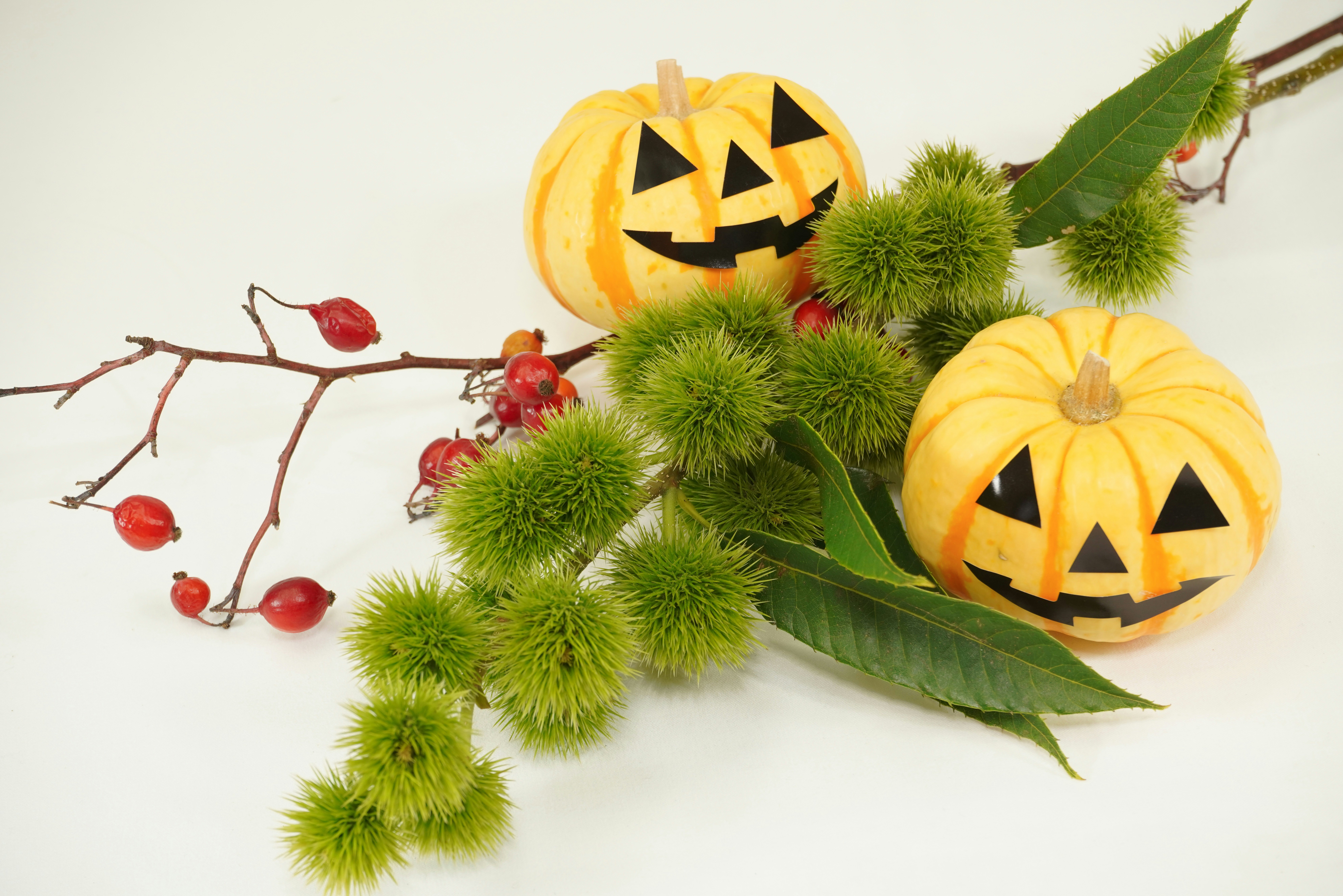 Update docker.io/ghost Docker tag to v5.98.1