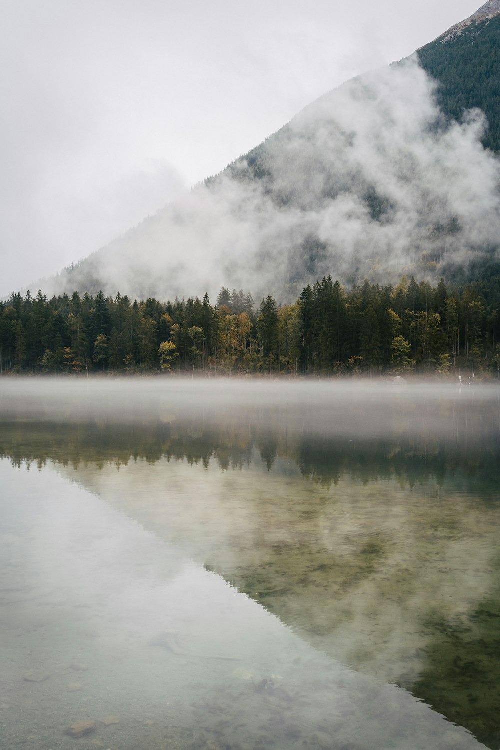 a lake surrounded by a forest covered in fog