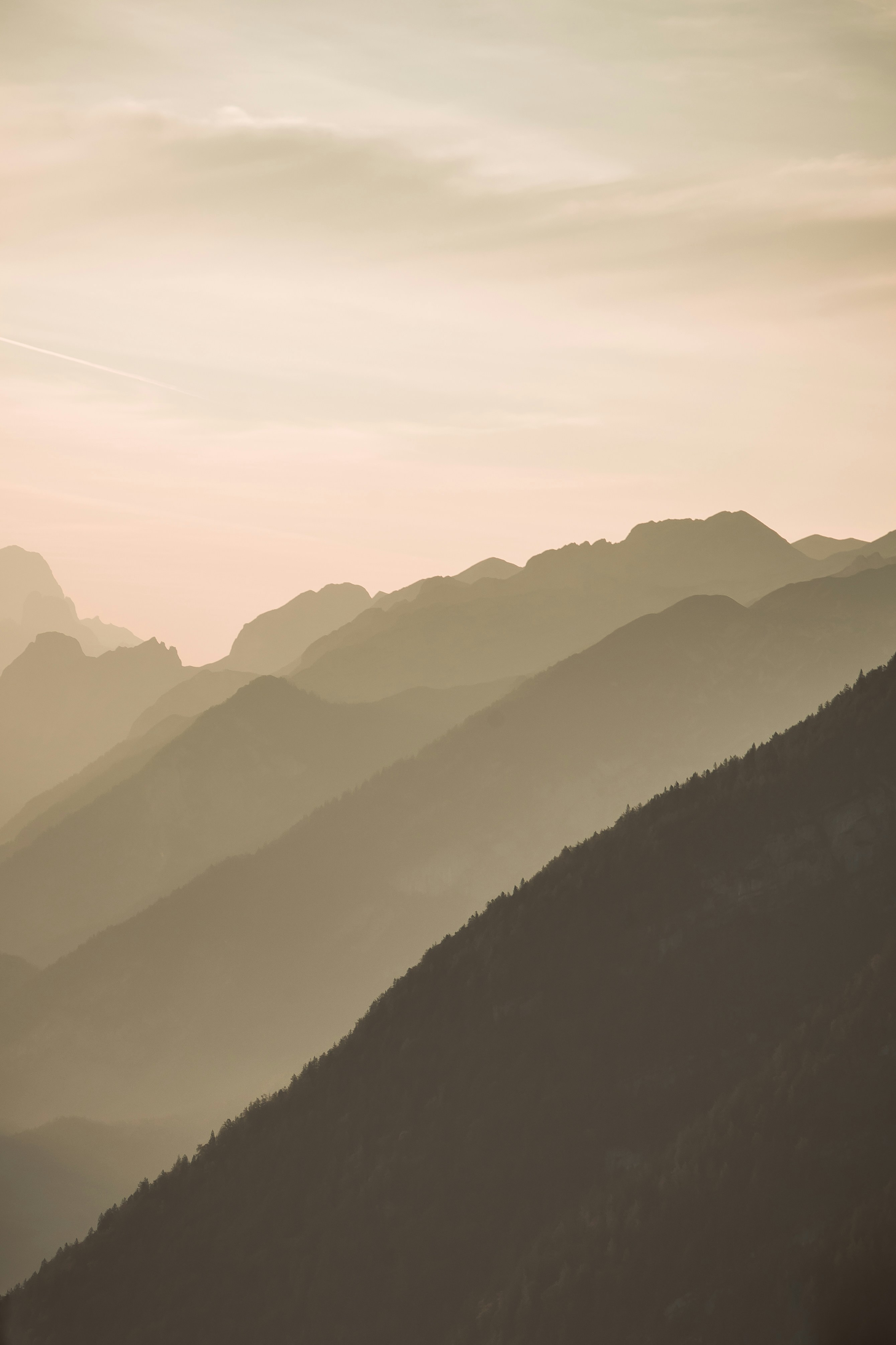 Photo by melimascella_