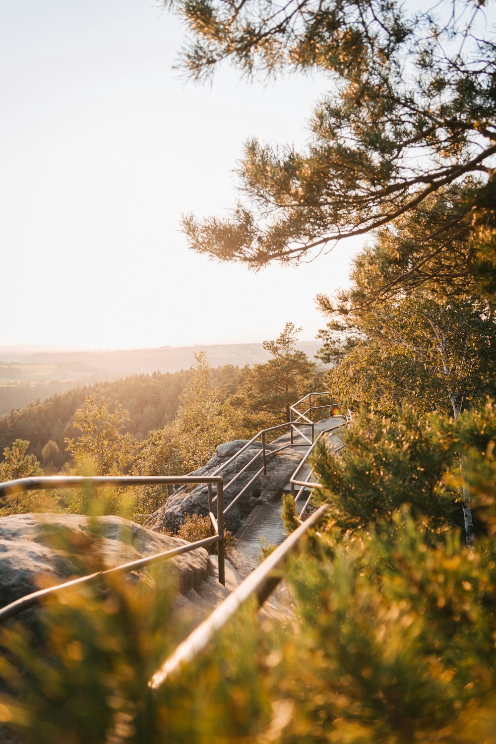 a bench sitting on top of a hill next to a forest