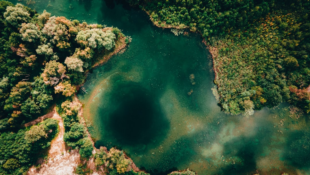 an aerial view of a lake surrounded by trees,