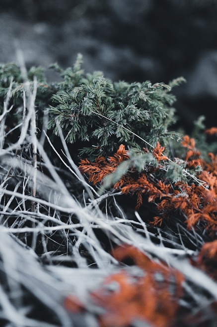 Close-up of textured fibers and natural wood elements integrated into a contemporary landscape design