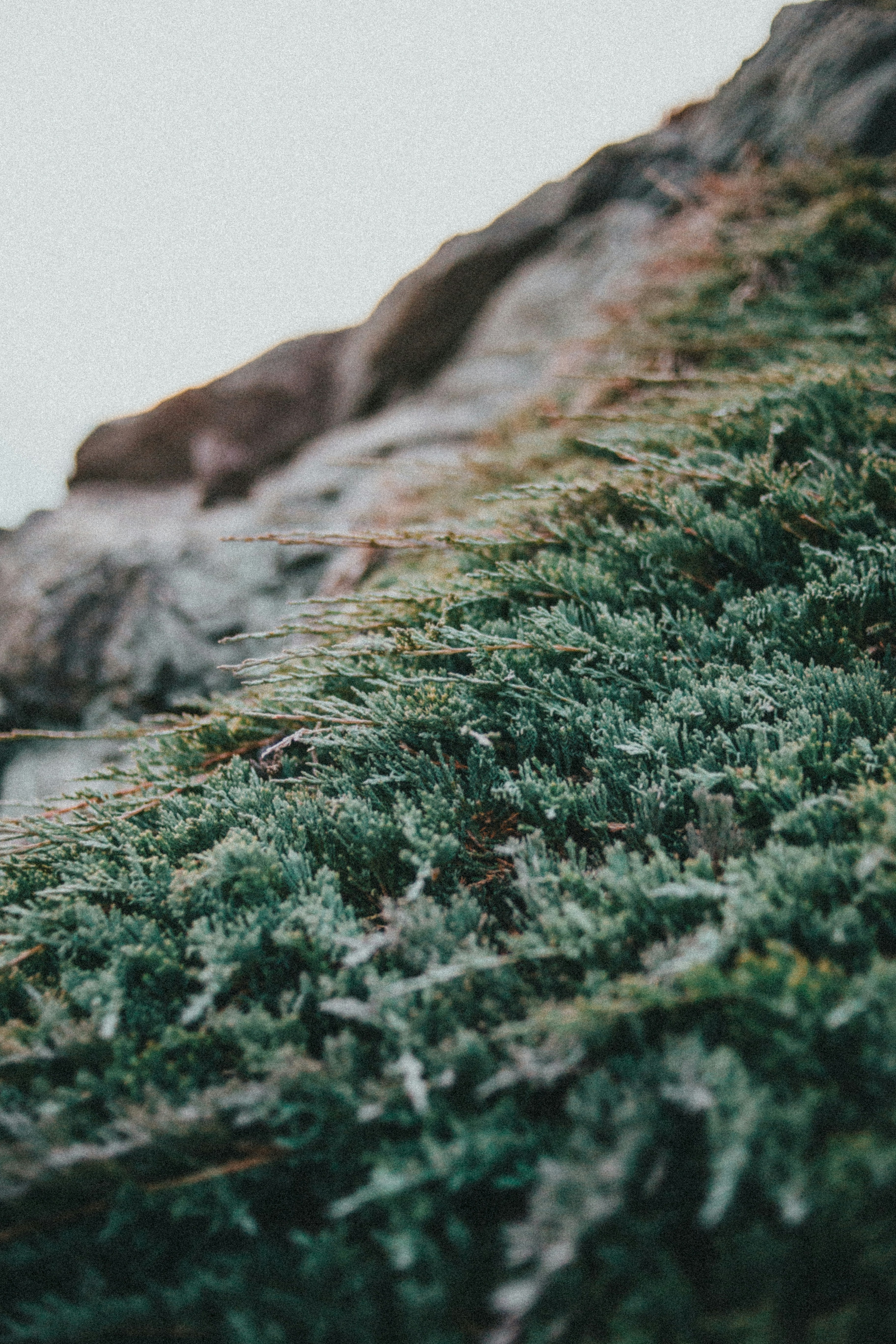 Photo by introspectivedsgn