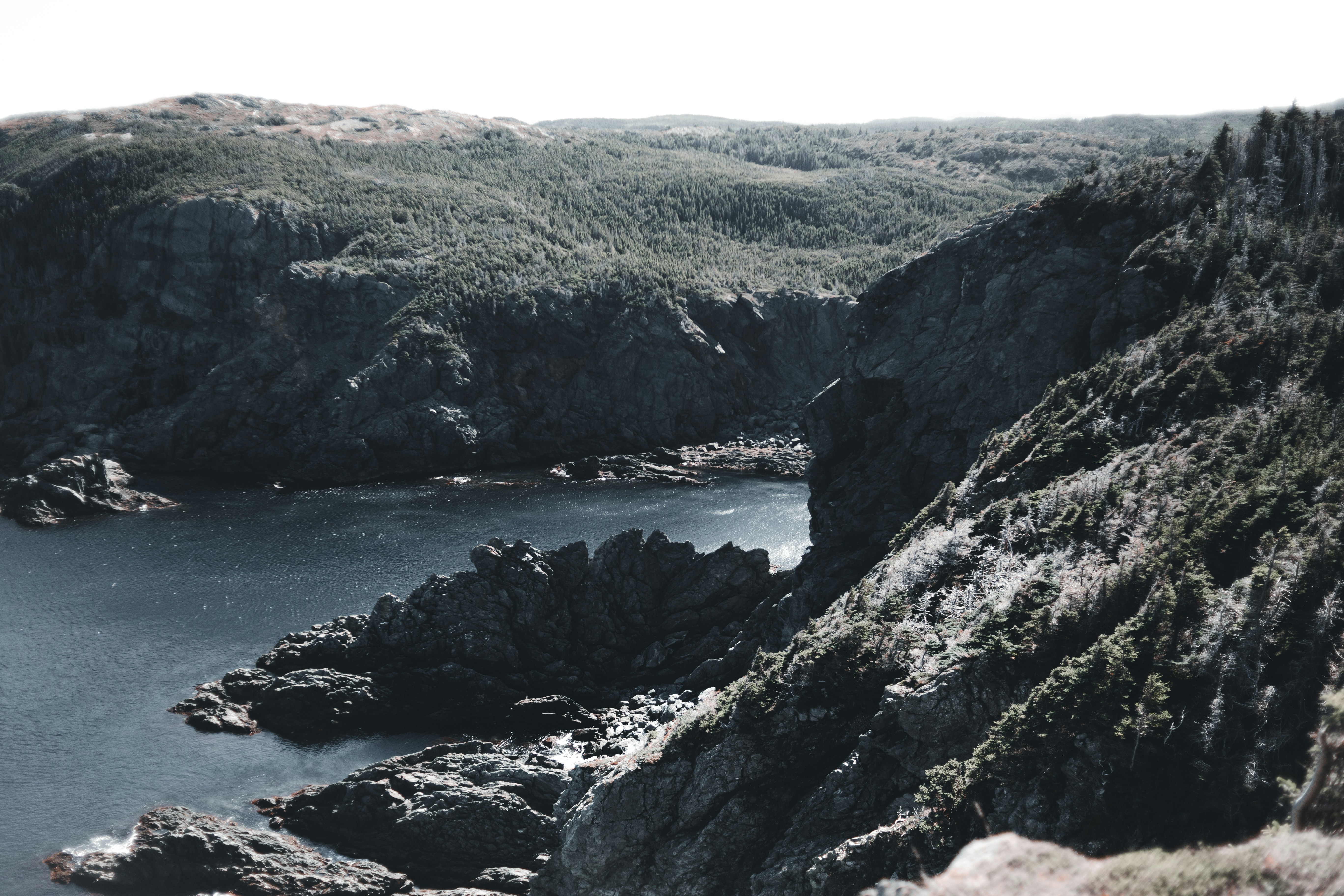 Photo by introspectivedsgn