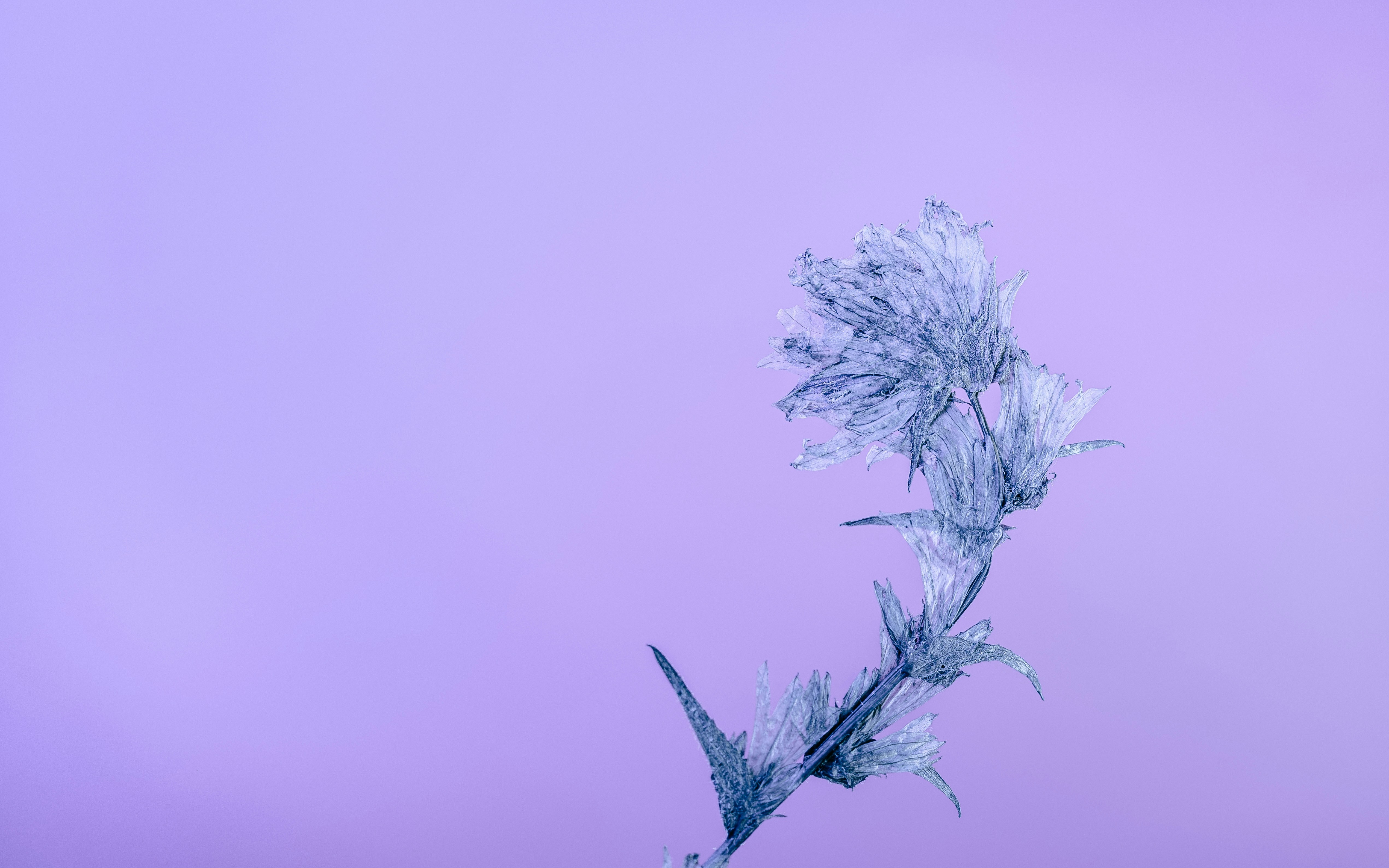 Photo by marekpiwnicki