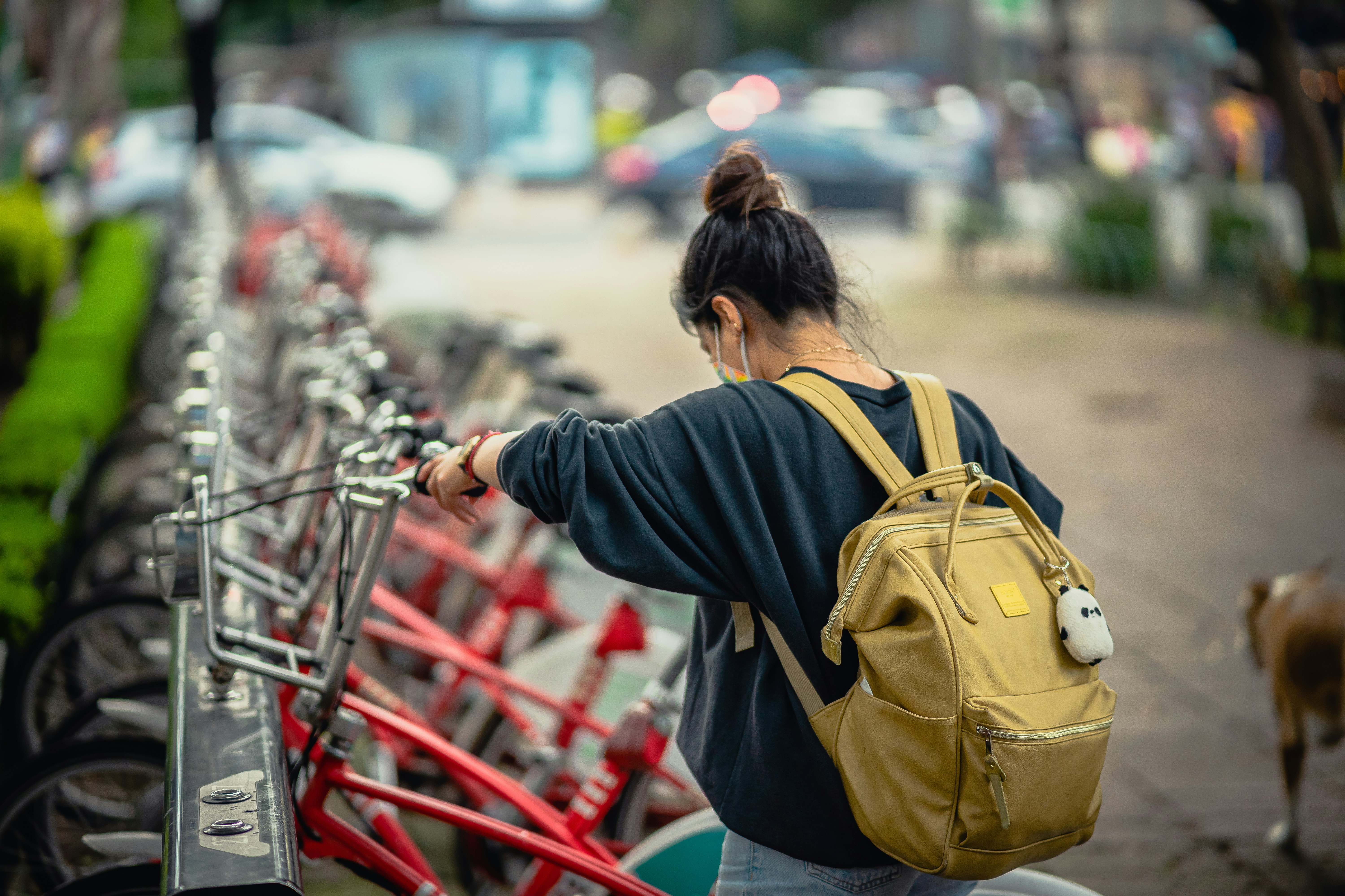 dicas de utilidade pública