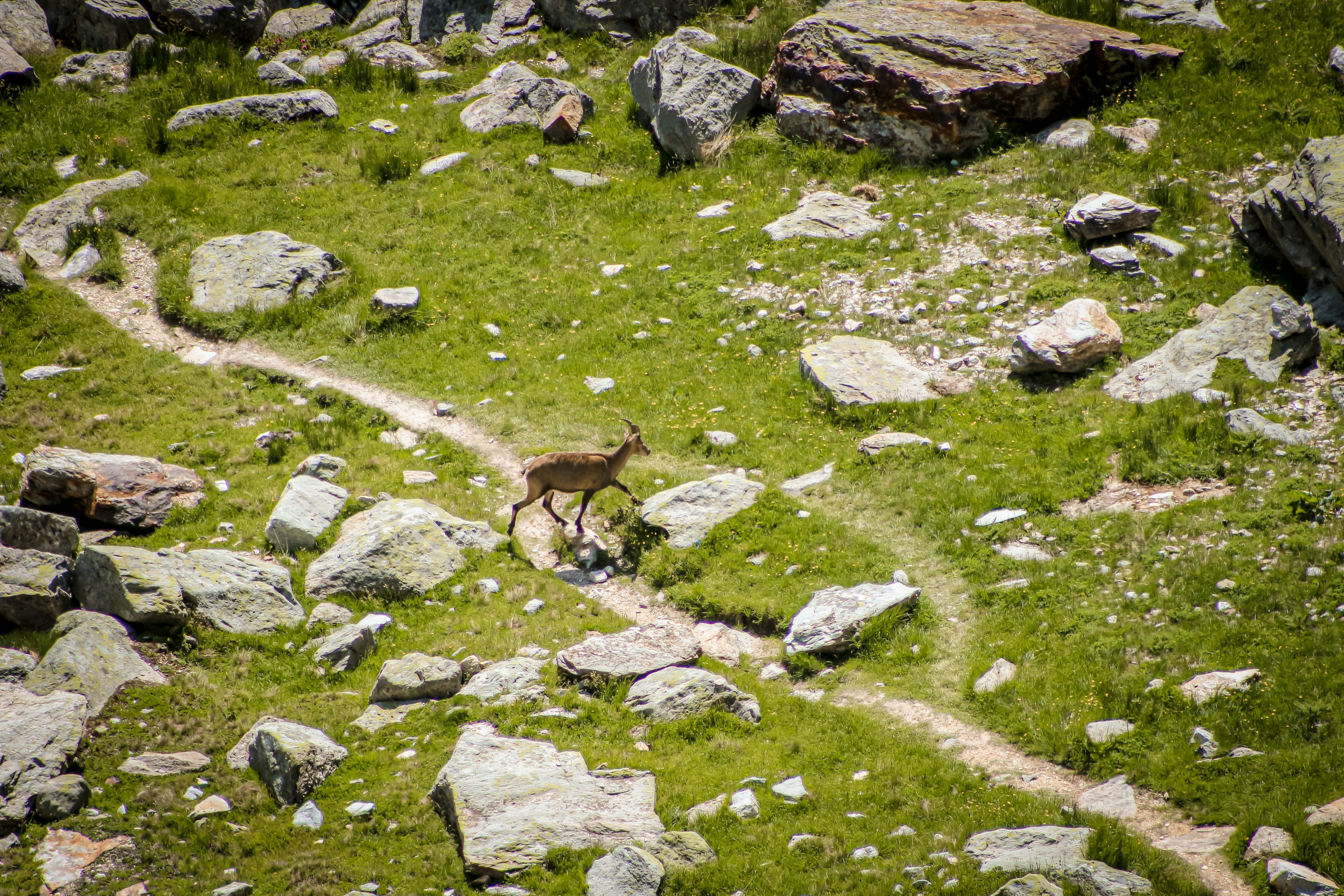 Photo by baptistebuiss