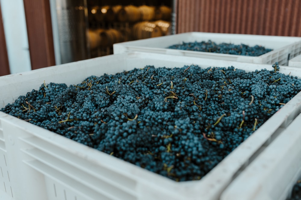 a bunch of grapes that are in some containers