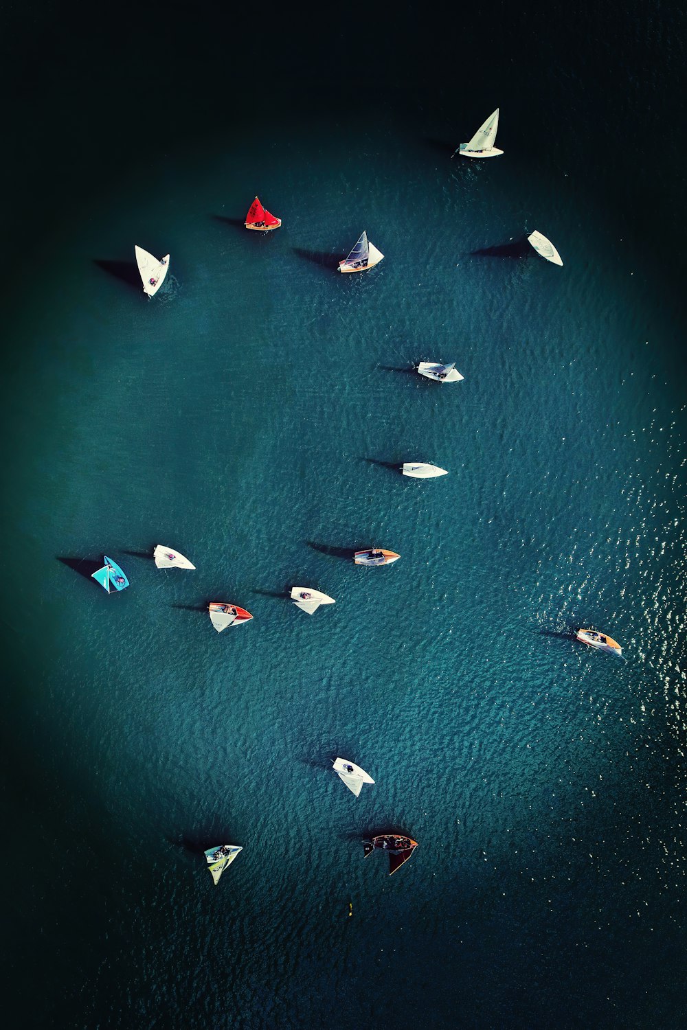 Eine Gruppe von Booten, die auf einem Gewässer schwimmen