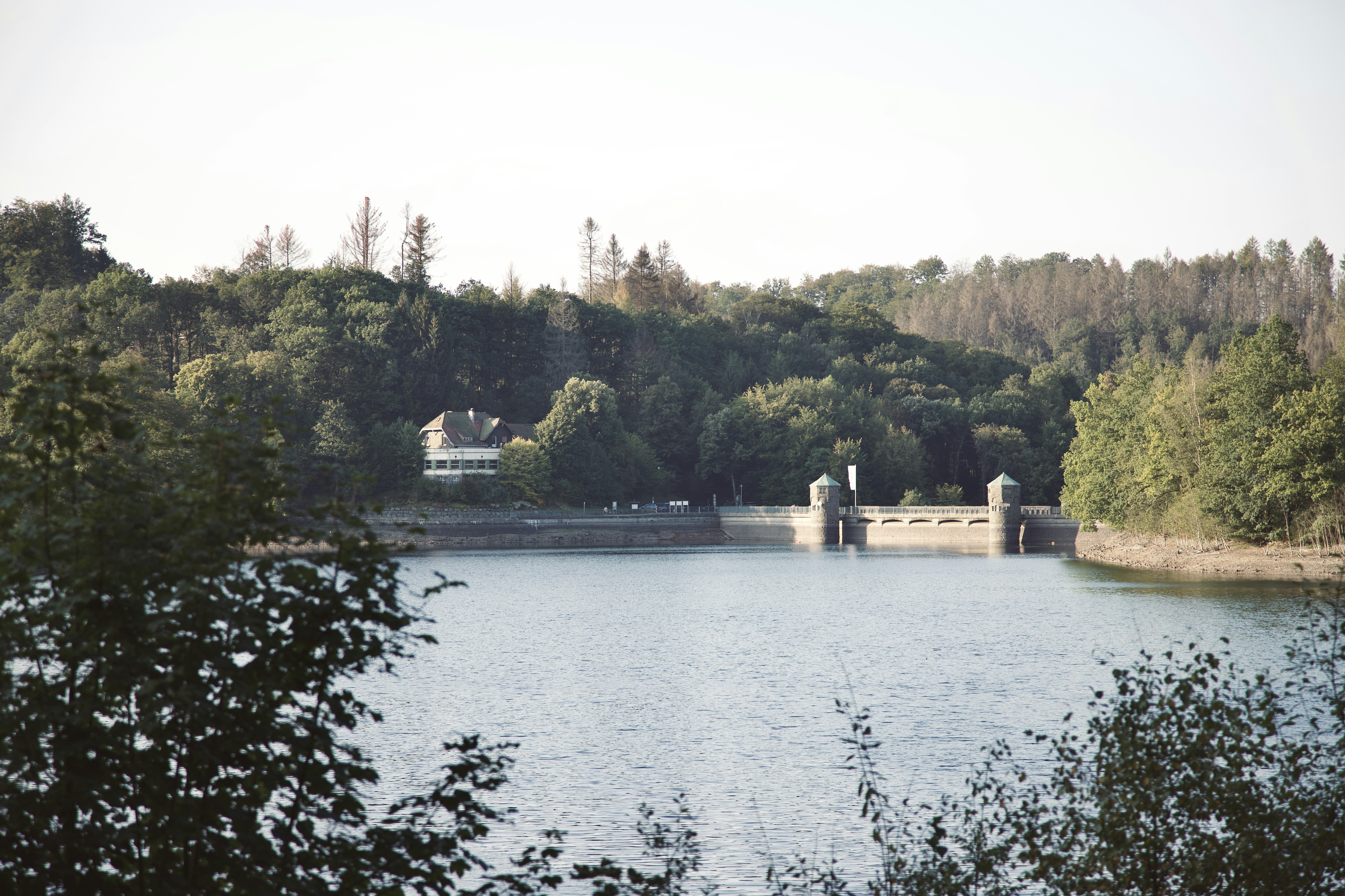 Photo by stockbirken