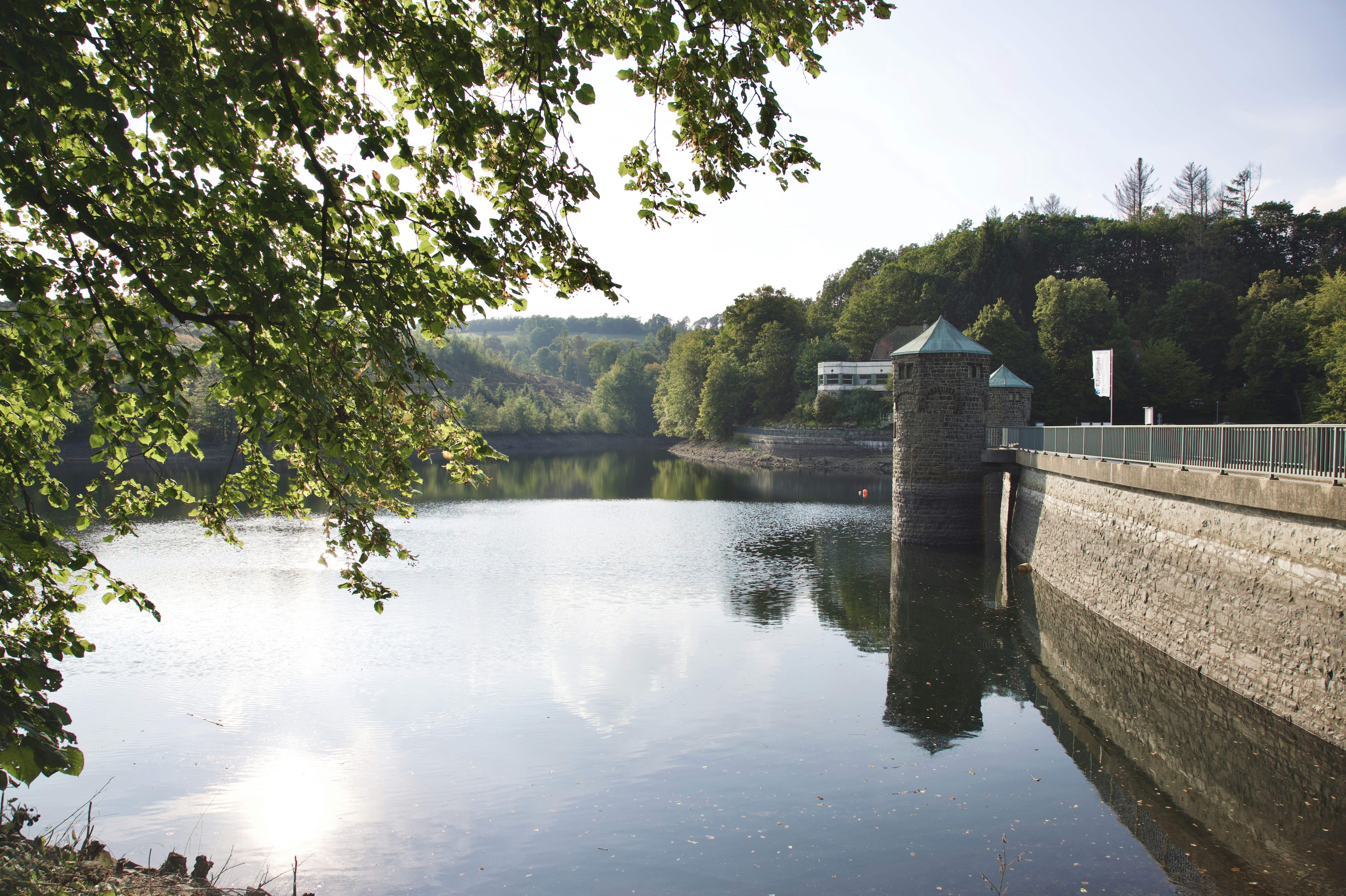 Photo by stockbirken