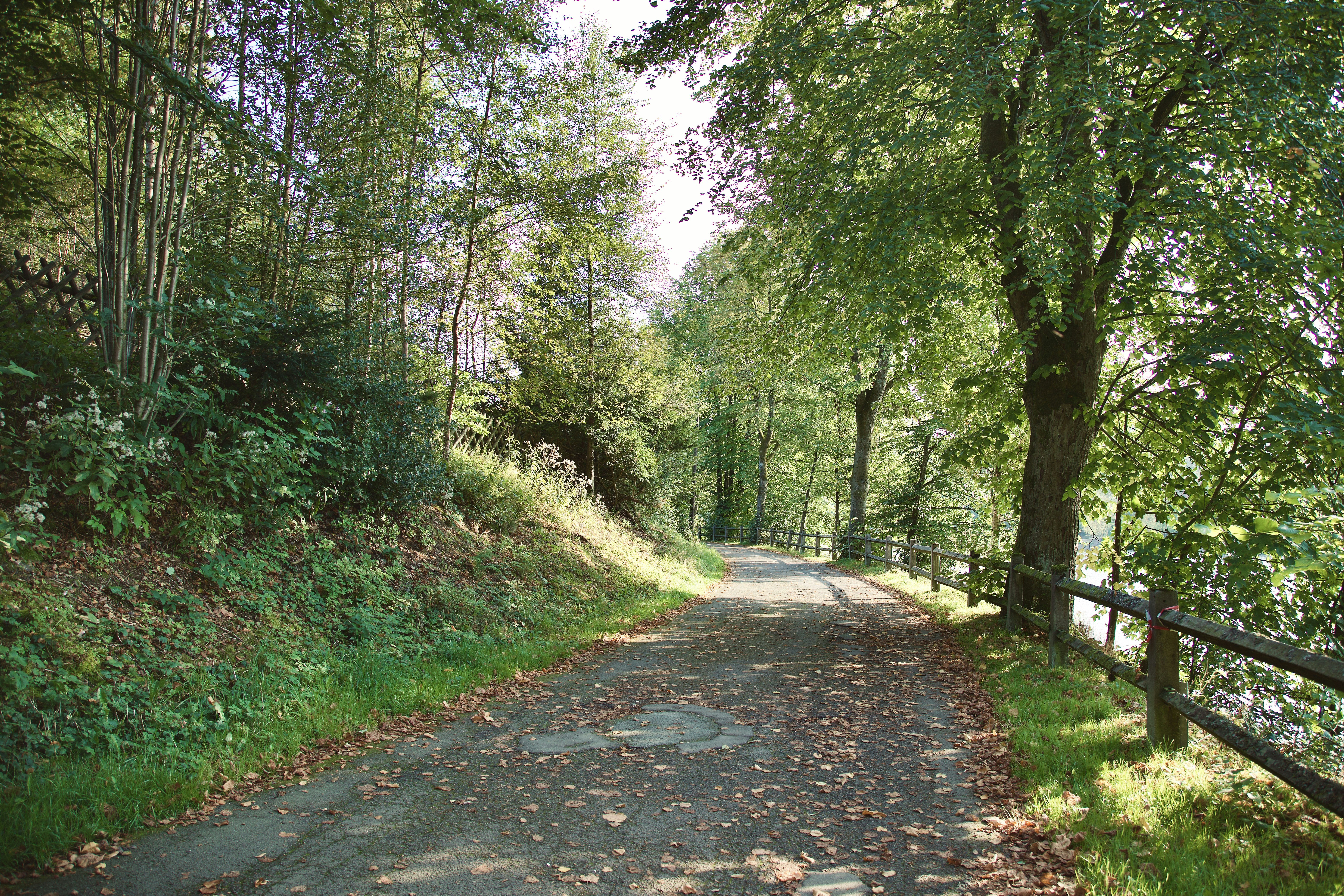 Photo by stockbirken