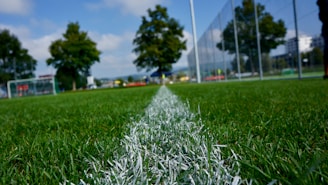 a grass field with a white line in the middle of it