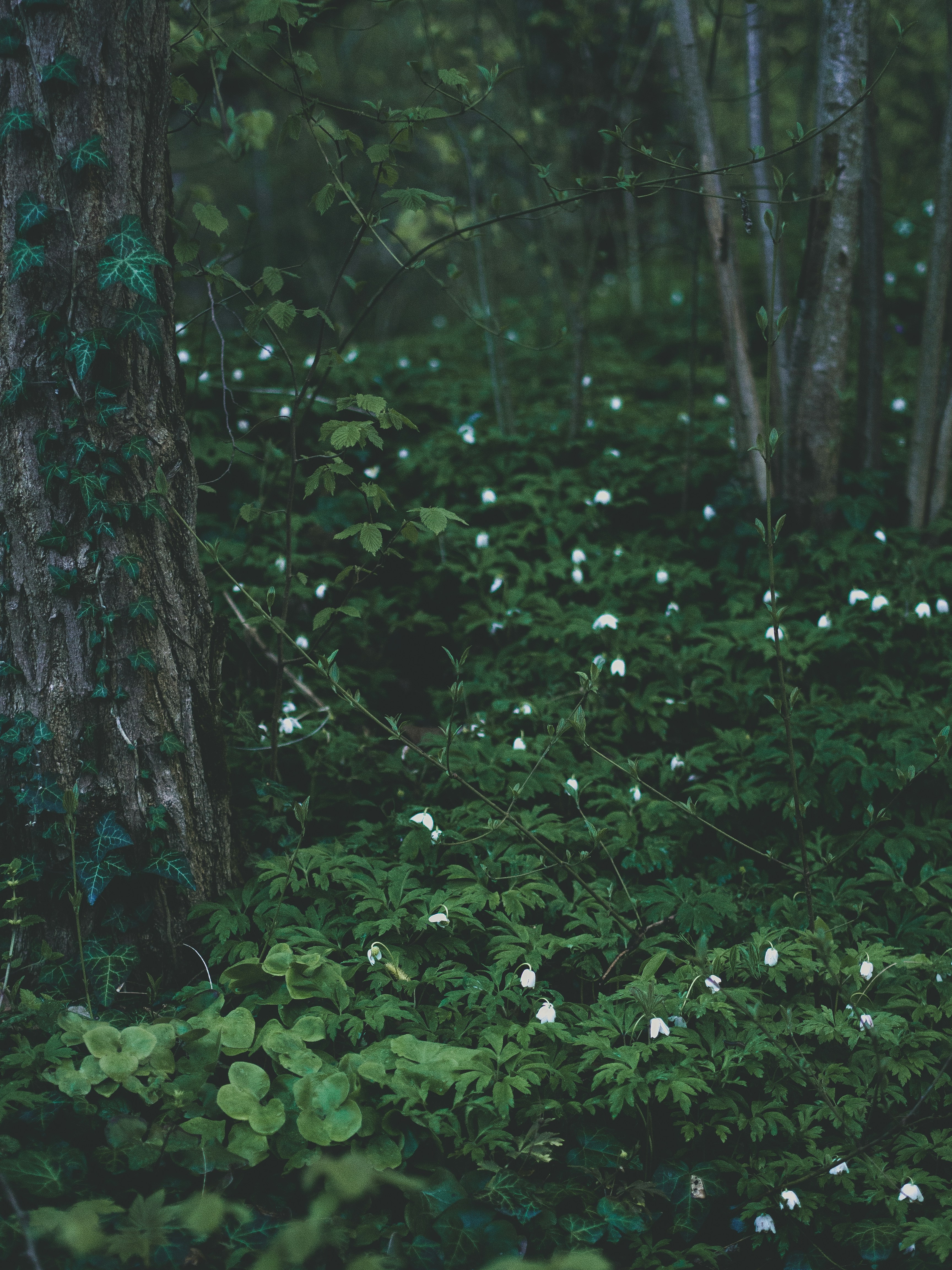 Photo by marta_alexandra